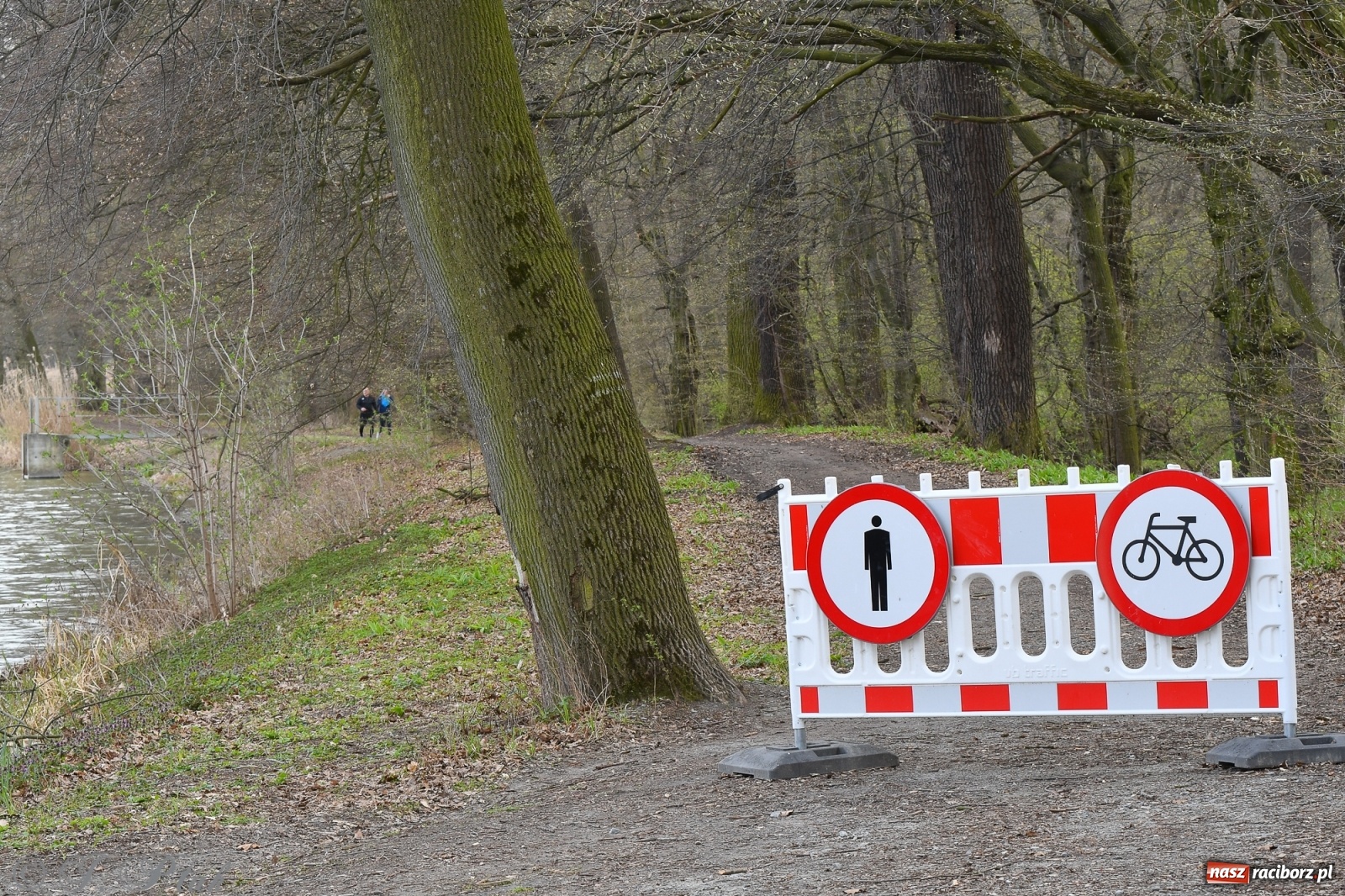 Zdjęcie w galerii na portalu naszraciborz.pl: Łężczok budzi się do życia. Album do pobrania [PDF] wiadomości z regionu