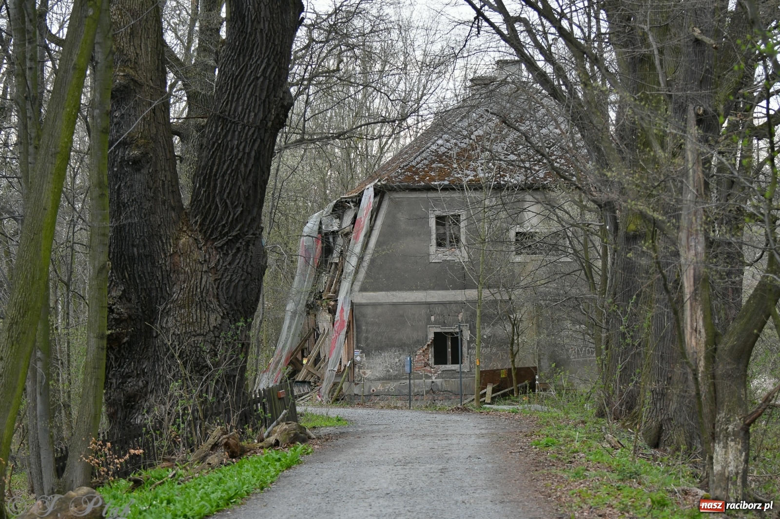 Zdjęcie w galerii na portalu naszraciborz.pl: Łężczok budzi się do życia. Album do pobrania [PDF] wiadomości z regionu