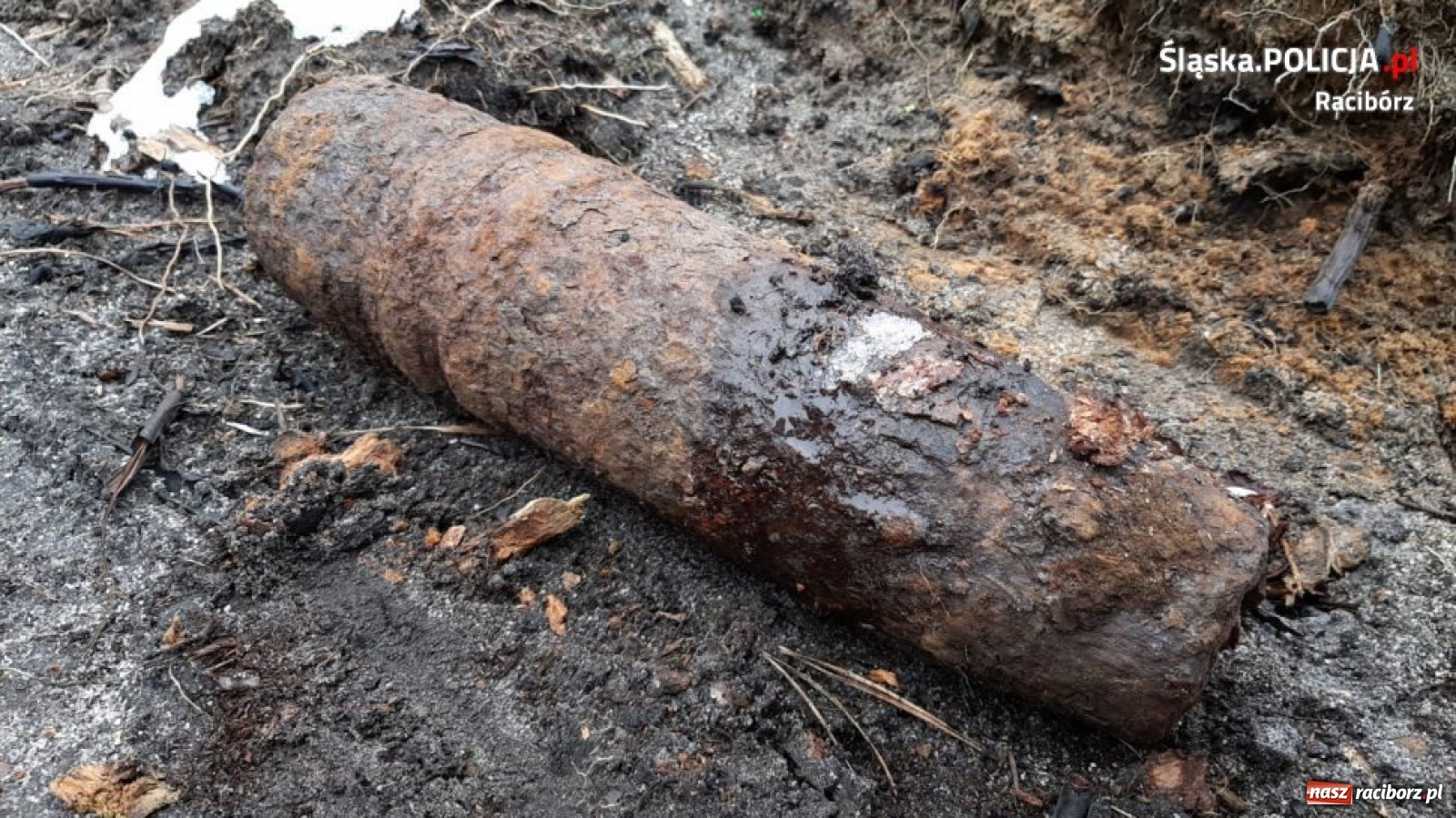 Zdjęcie w galerii na portalu naszraciborz.pl: Kolejne groźne znaleziska na terenie powiatu [FOTO] wiadomości z regionu