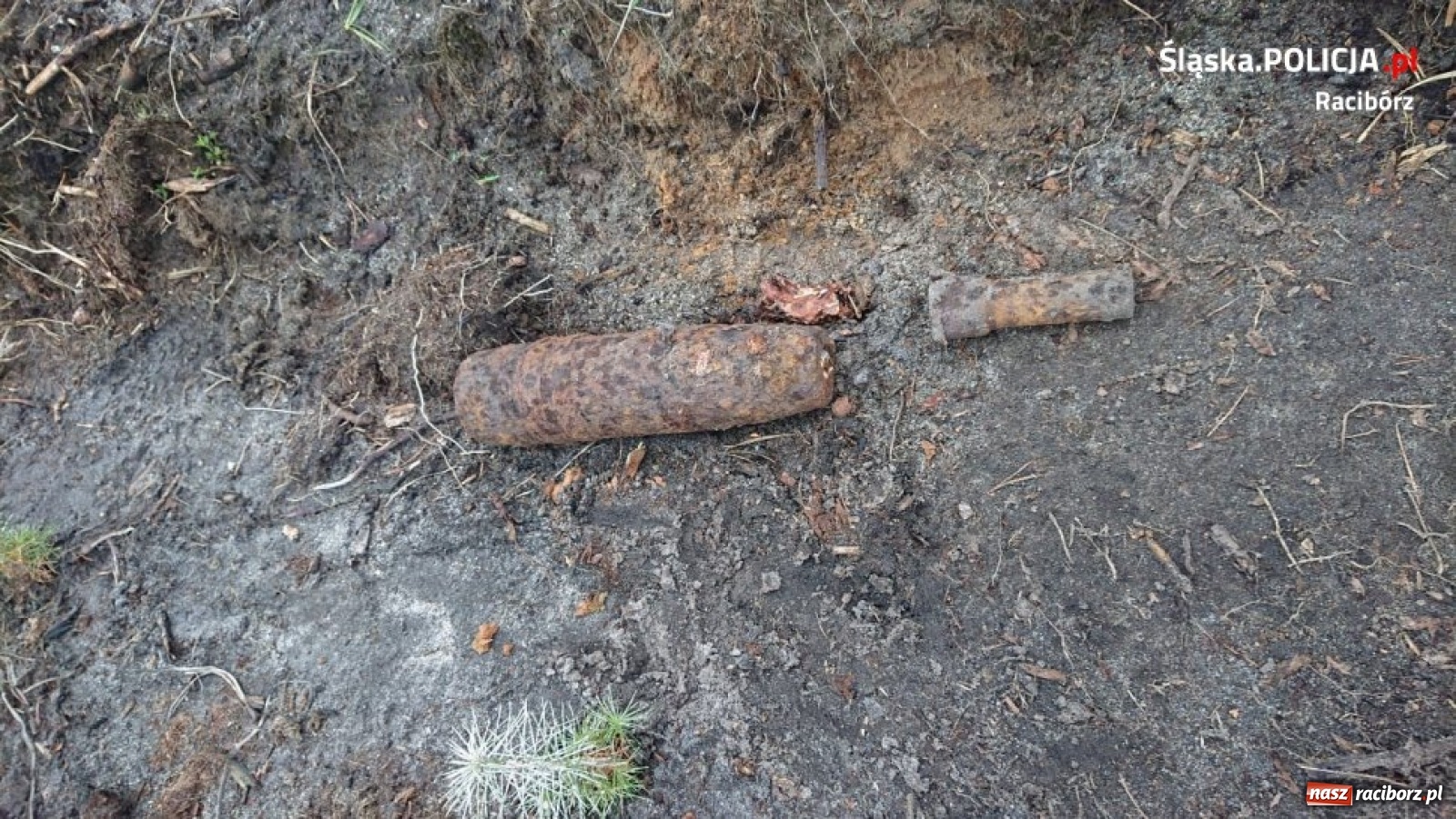 Zdjęcie w galerii na portalu naszraciborz.pl: Kolejne groźne znaleziska na terenie powiatu [FOTO] wiadomości z regionu