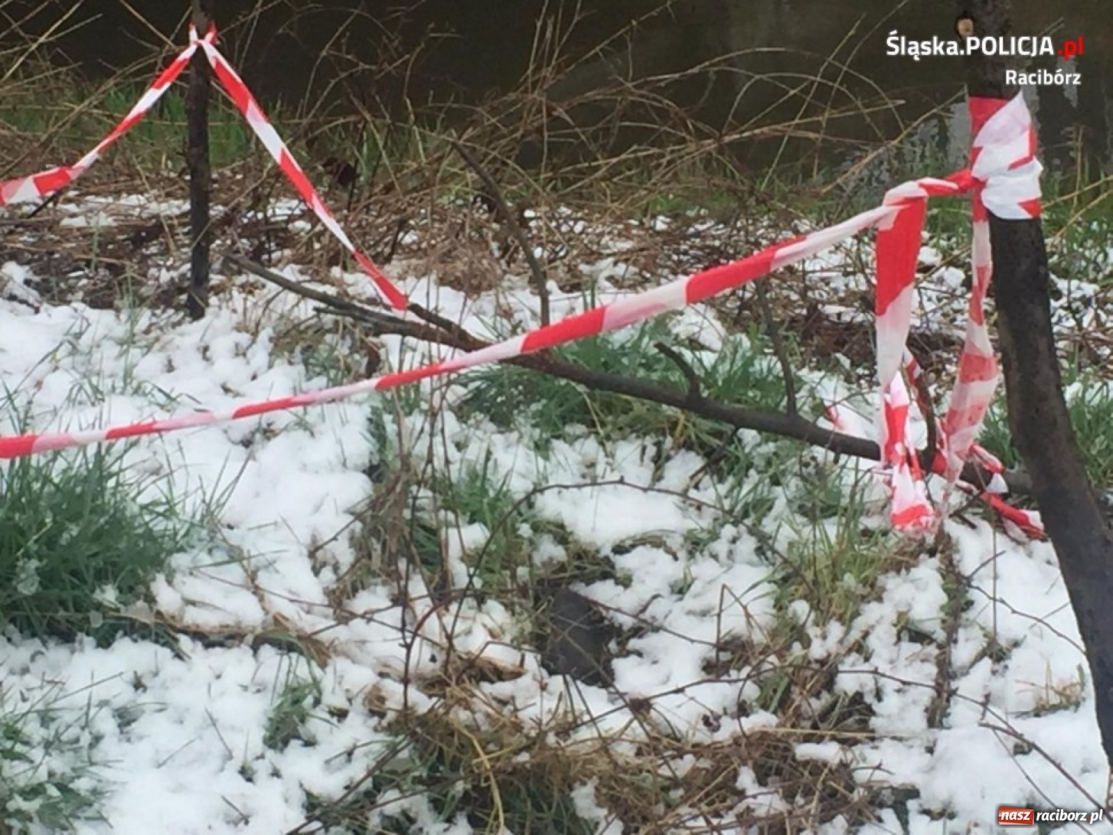 Zdjęcie w galerii na portalu naszraciborz.pl: Kolejne groźne znaleziska na terenie powiatu [FOTO] wiadomości z regionu