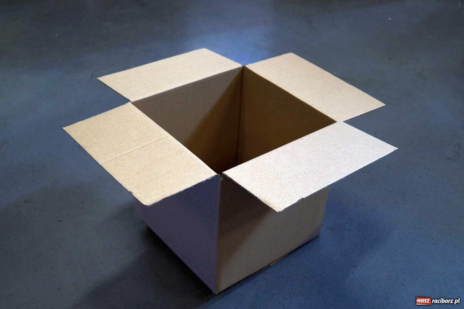 Zdjęcie w galerii na portalu naszraciborz.pl: Kartony transportowe jako wypełniacz? To możliwe i... ekologiczne! wiadomości z regionu