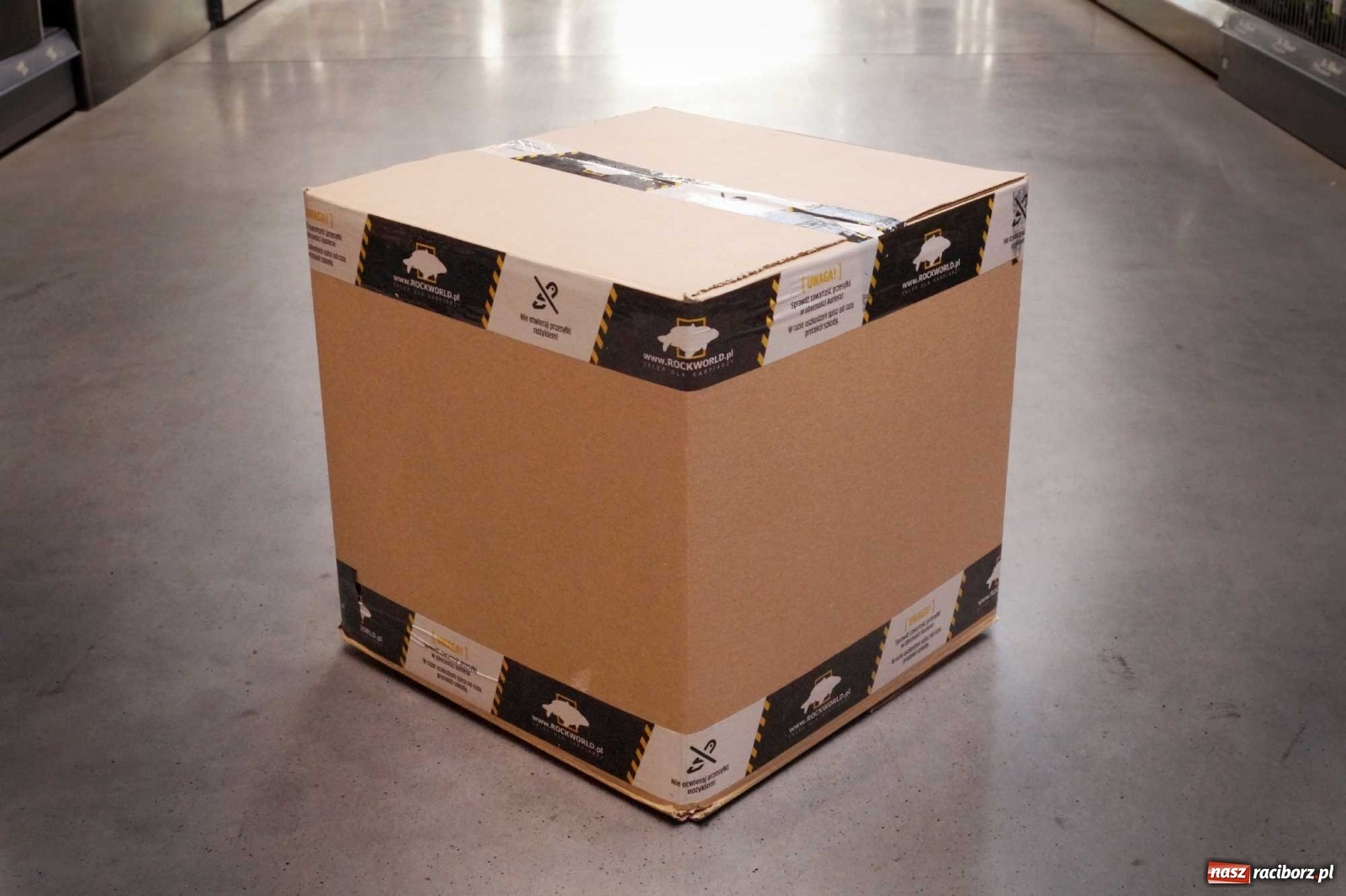 Zdjęcie w galerii na portalu naszraciborz.pl: Kartony transportowe jako wypełniacz? To możliwe i... ekologiczne! wiadomości z regionu