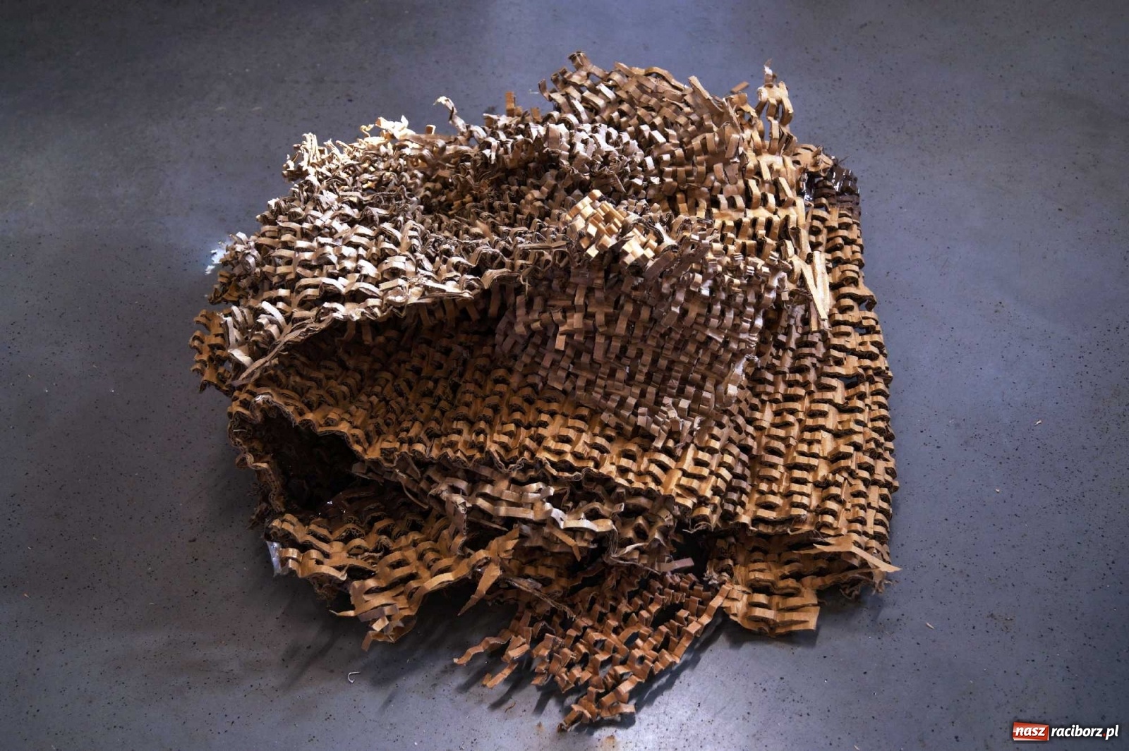Zdjęcie w galerii na portalu naszraciborz.pl: Kartony transportowe jako wypełniacz? To możliwe i... ekologiczne! wiadomości z regionu