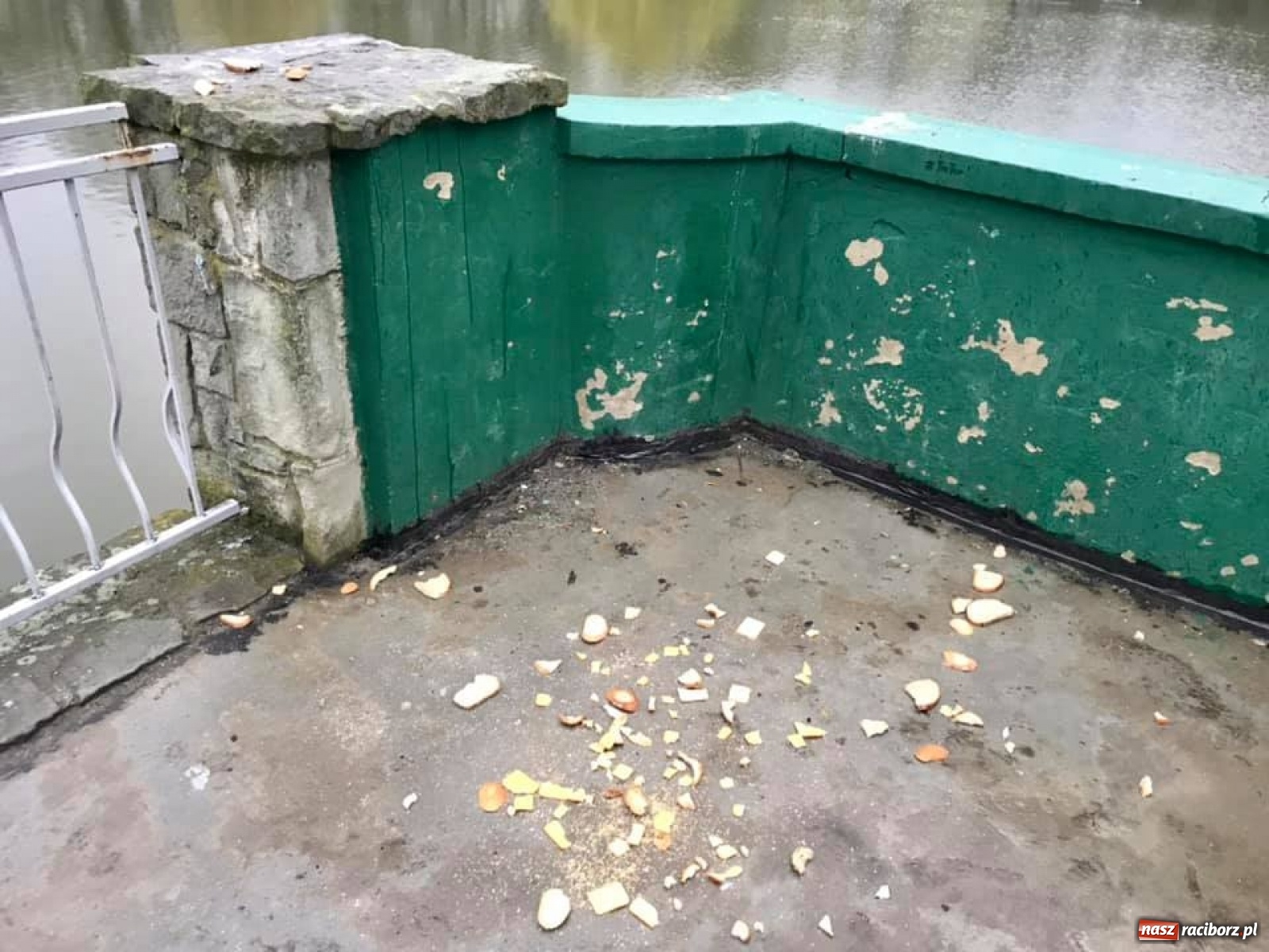 Zdjęcie w galerii na portalu naszraciborz.pl: Kaczkomat i kosze pod Arboretum. Drobne rzeczy, które cieszą wiadomości z regionu