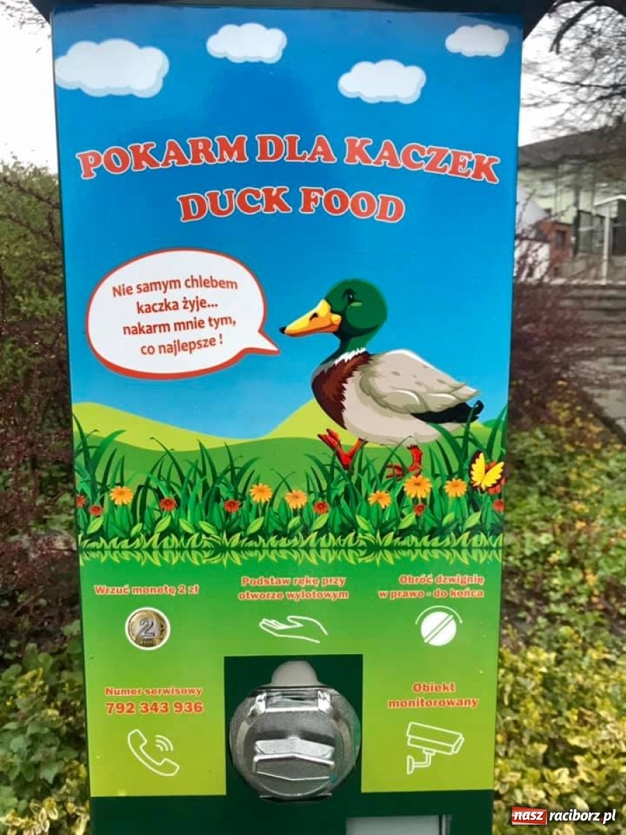 Zdjęcie w galerii na portalu naszraciborz.pl: Kaczkomat i kosze pod Arboretum. Drobne rzeczy, które cieszą wiadomości z regionu
