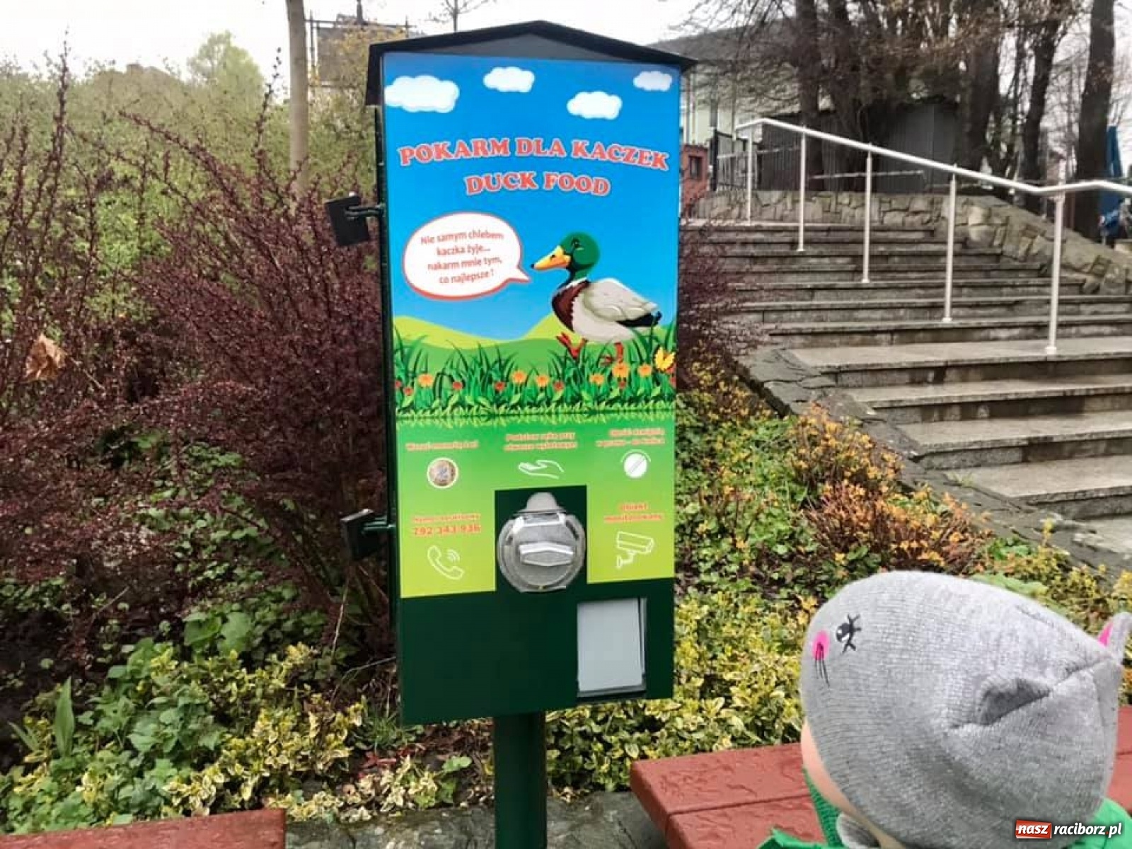 Zdjęcie w galerii na portalu naszraciborz.pl: Kaczkomat i kosze pod Arboretum. Drobne rzeczy, które cieszą wiadomości z regionu