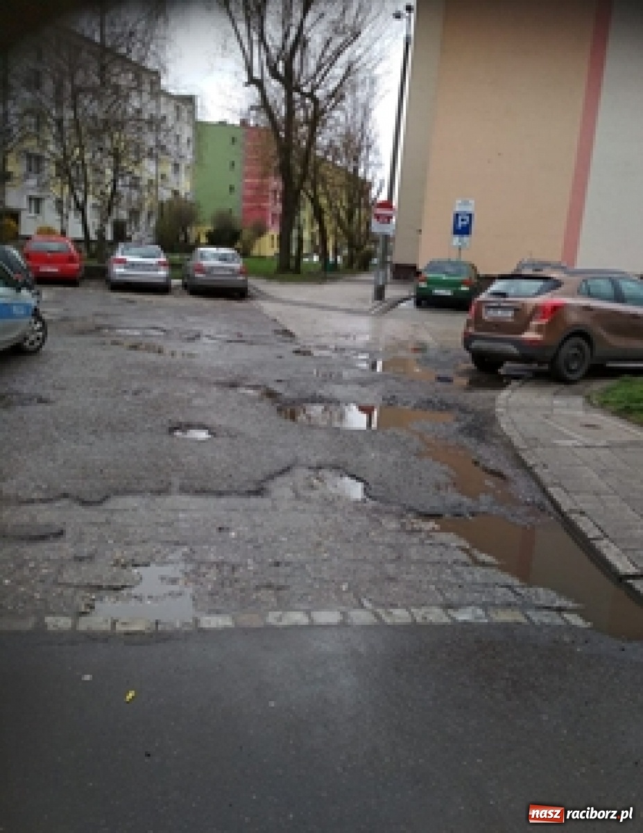 Zdjęcie w galerii na portalu naszraciborz.pl: Radna interpeluje, prezydent rozstrzygnął już przetarg wiadomości z regionu