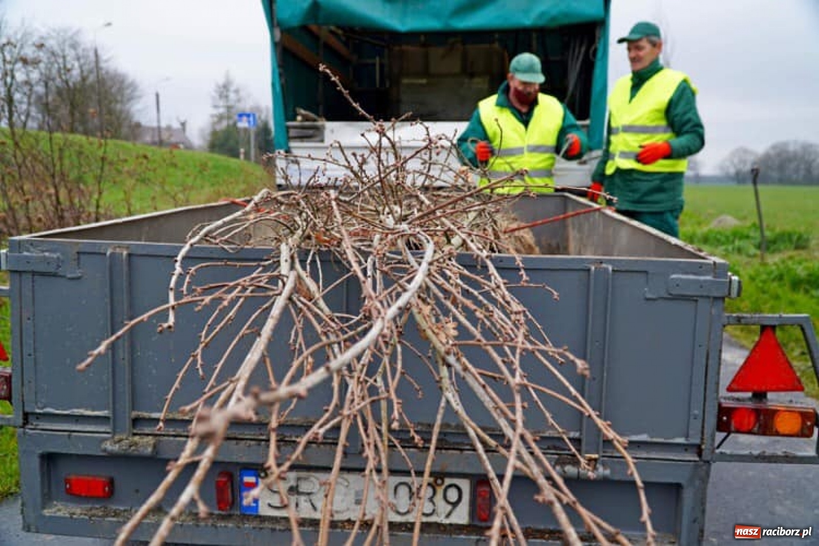 Zdjęcie w galerii na portalu naszraciborz.pl: Przy ścieżce do Łężczoka rosną już dęby. Trzy ostatnie zasadzili prezydenci wiadomości z regionu