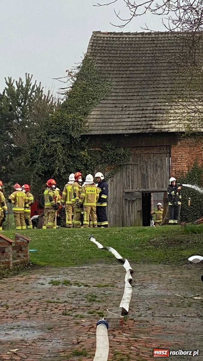 Zdjęcie w galerii na portalu naszraciborz.pl: Alarm bombowy w Ocicach, pożar w Krzanowicach wiadomości z regionu