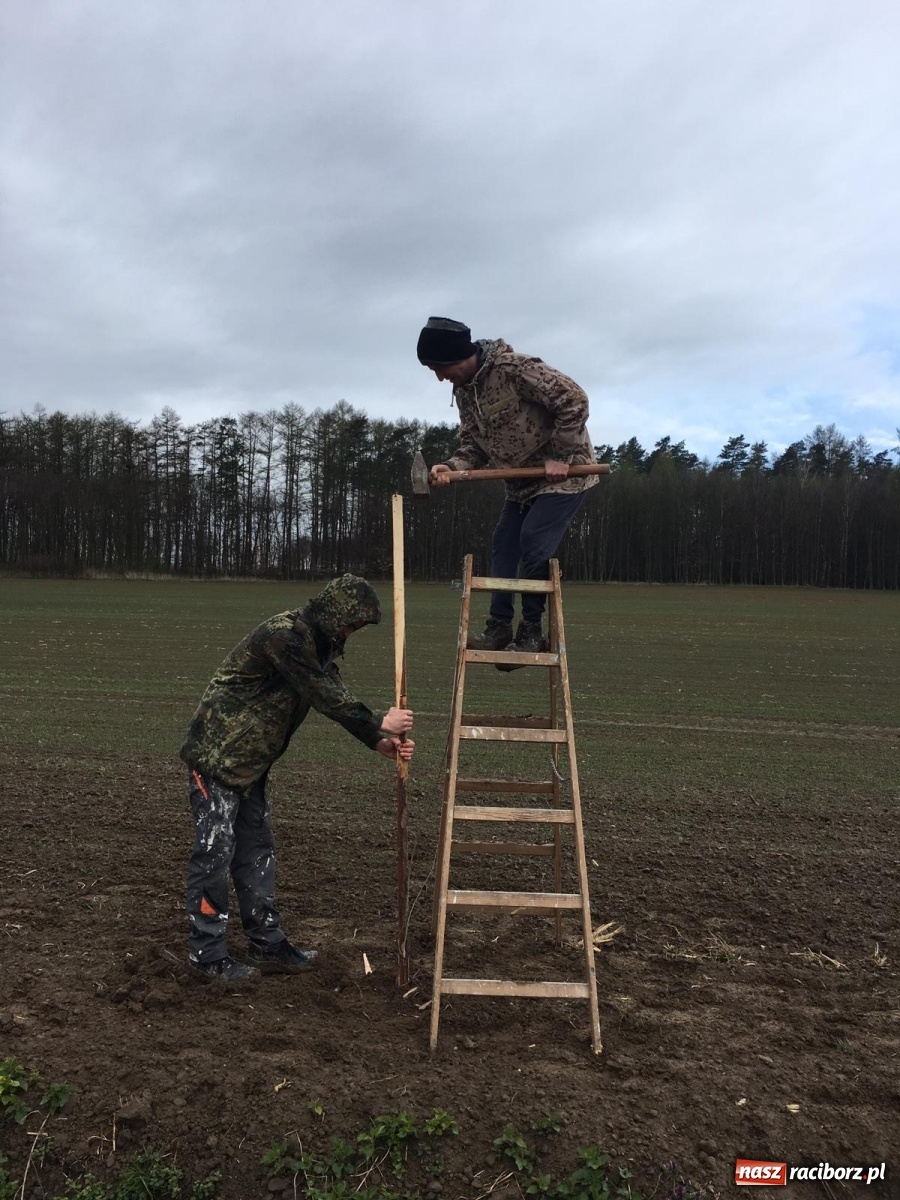 Zdjęcie w galerii na portalu naszraciborz.pl: Zielone płuca dla Krowiarek i gminy Pietrowice Wielkie wiadomości z regionu