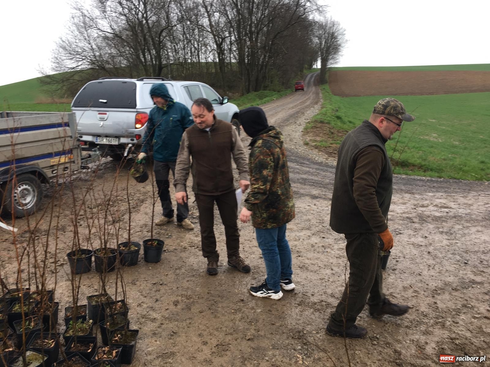 Zdjęcie w galerii na portalu naszraciborz.pl: Zielone płuca dla Krowiarek i gminy Pietrowice Wielkie wiadomości z regionu