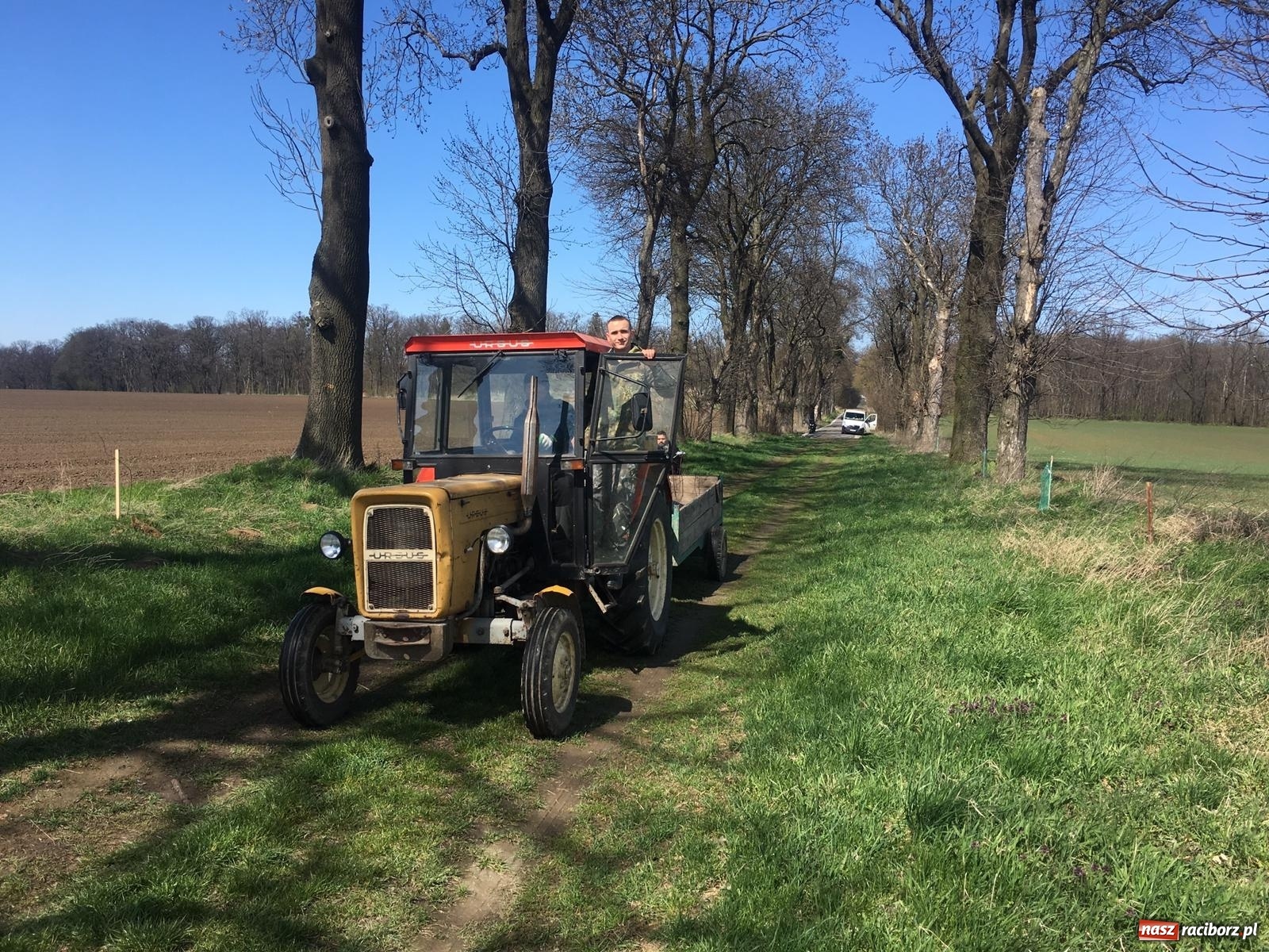 Zdjęcie w galerii na portalu naszraciborz.pl: Zielone płuca dla Krowiarek i gminy Pietrowice Wielkie wiadomości z regionu