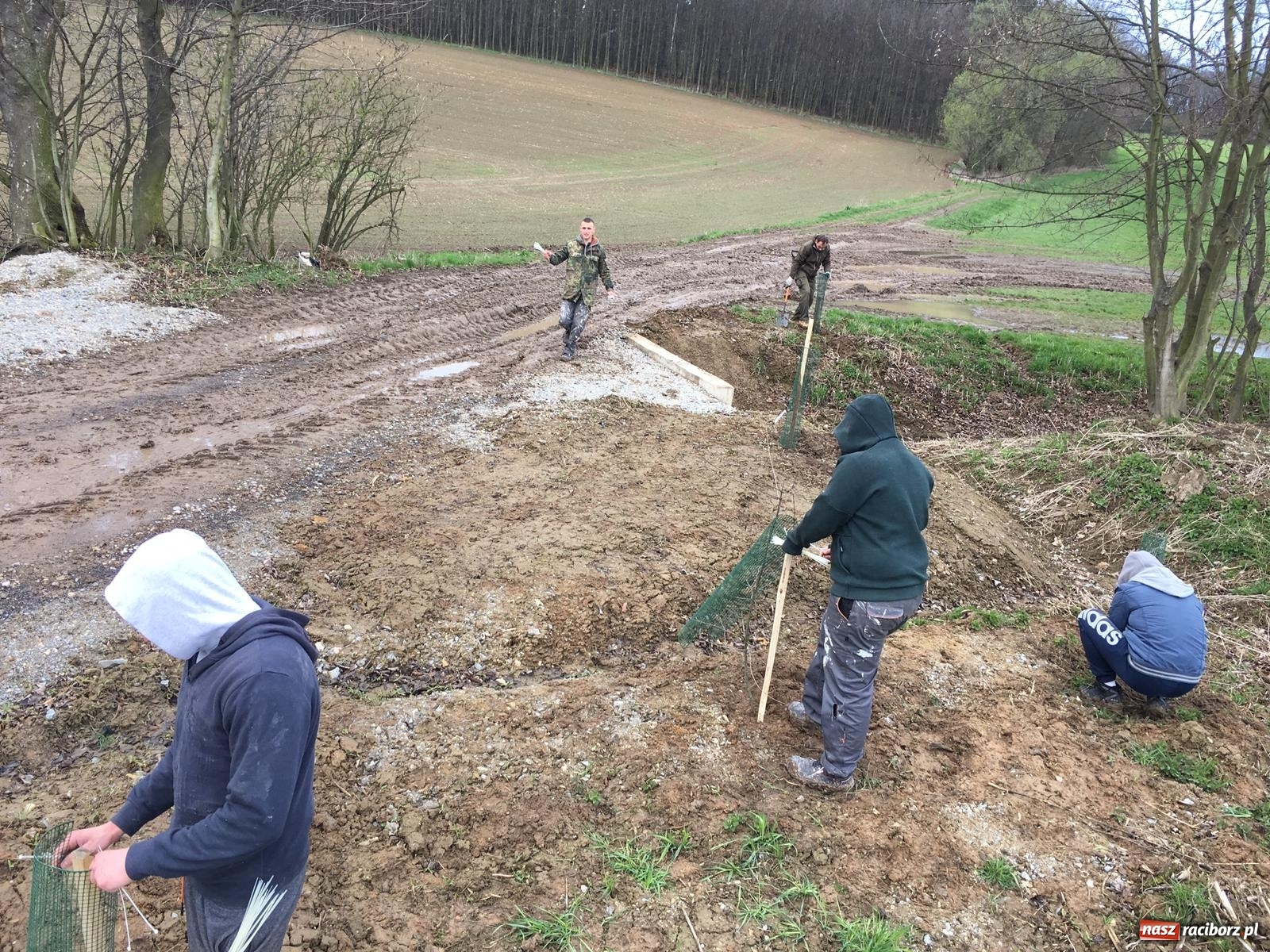 Zdjęcie w galerii na portalu naszraciborz.pl: Zielone płuca dla Krowiarek i gminy Pietrowice Wielkie wiadomości z regionu