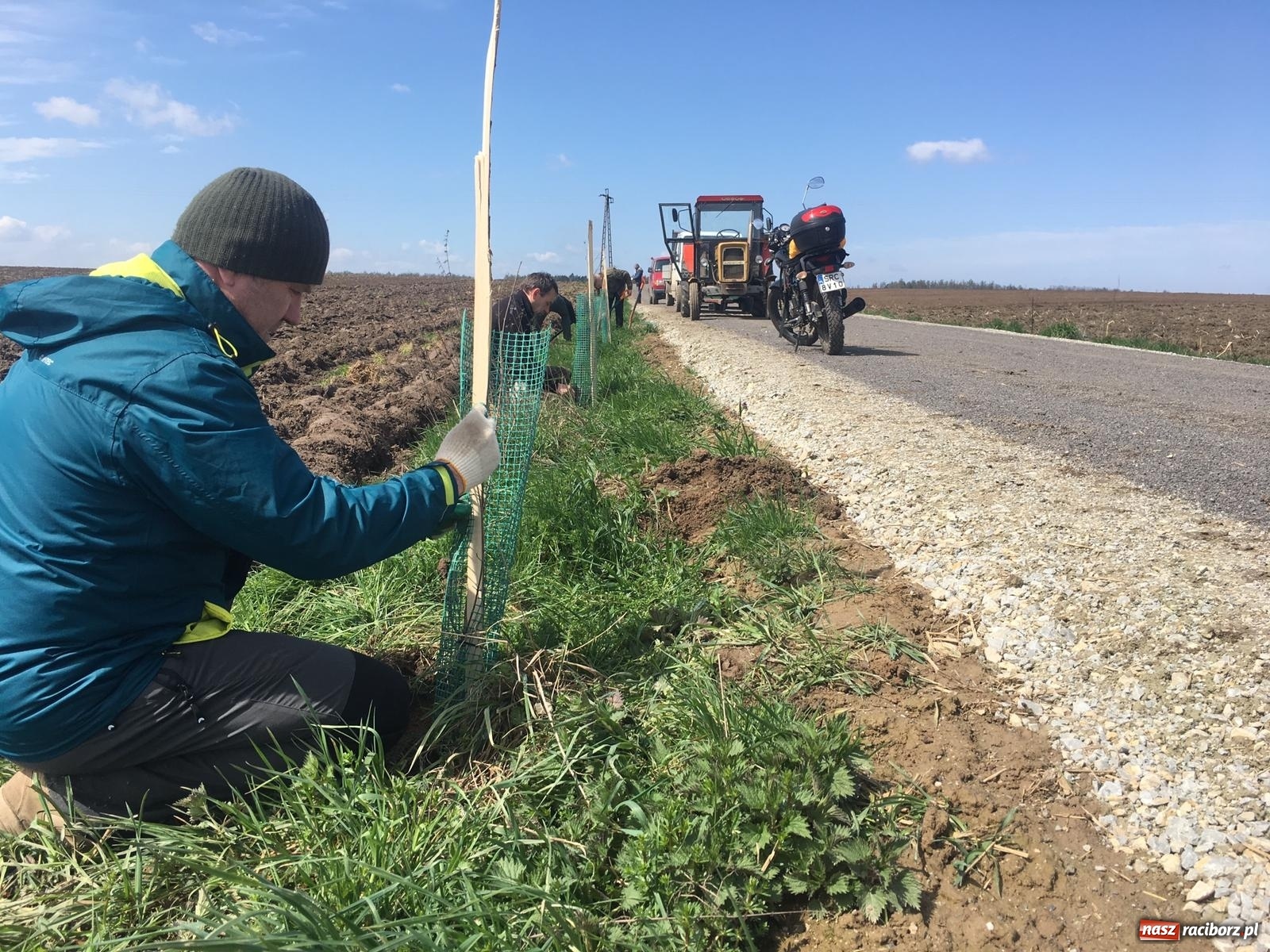 Zdjęcie w galerii na portalu naszraciborz.pl: Zielone płuca dla Krowiarek i gminy Pietrowice Wielkie wiadomości z regionu