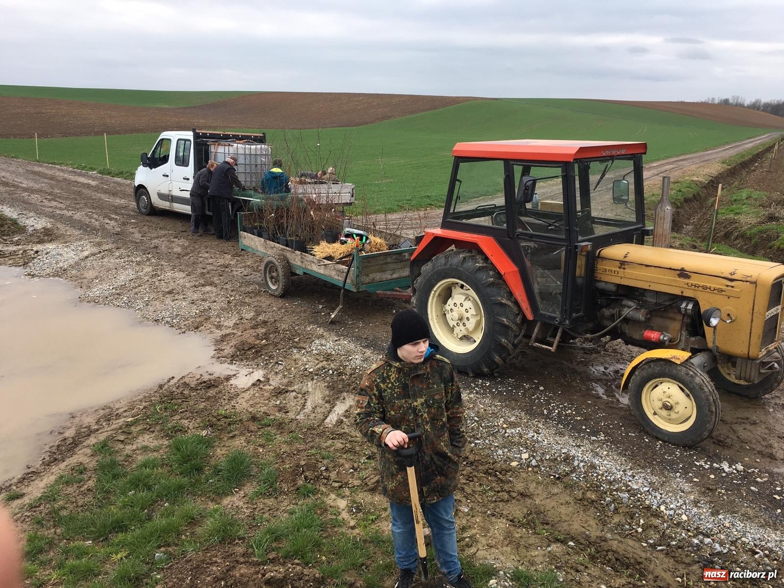 Zdjęcie w galerii na portalu naszraciborz.pl: Zielone płuca dla Krowiarek i gminy Pietrowice Wielkie wiadomości z regionu