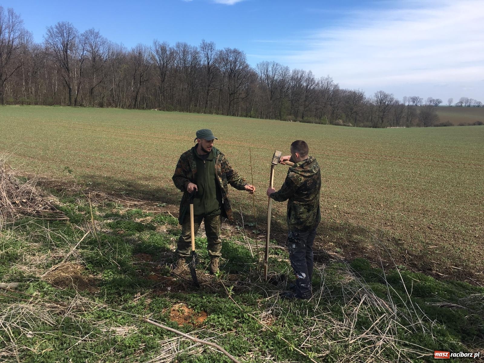 Zdjęcie w galerii na portalu naszraciborz.pl: Zielone płuca dla Krowiarek i gminy Pietrowice Wielkie wiadomości z regionu