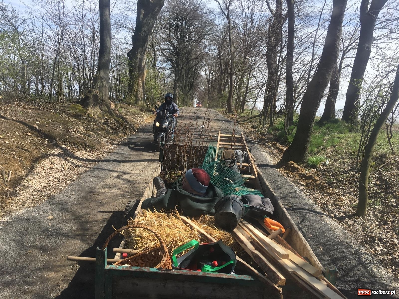 Zdjęcie w galerii na portalu naszraciborz.pl: Zielone płuca dla Krowiarek i gminy Pietrowice Wielkie wiadomości z regionu