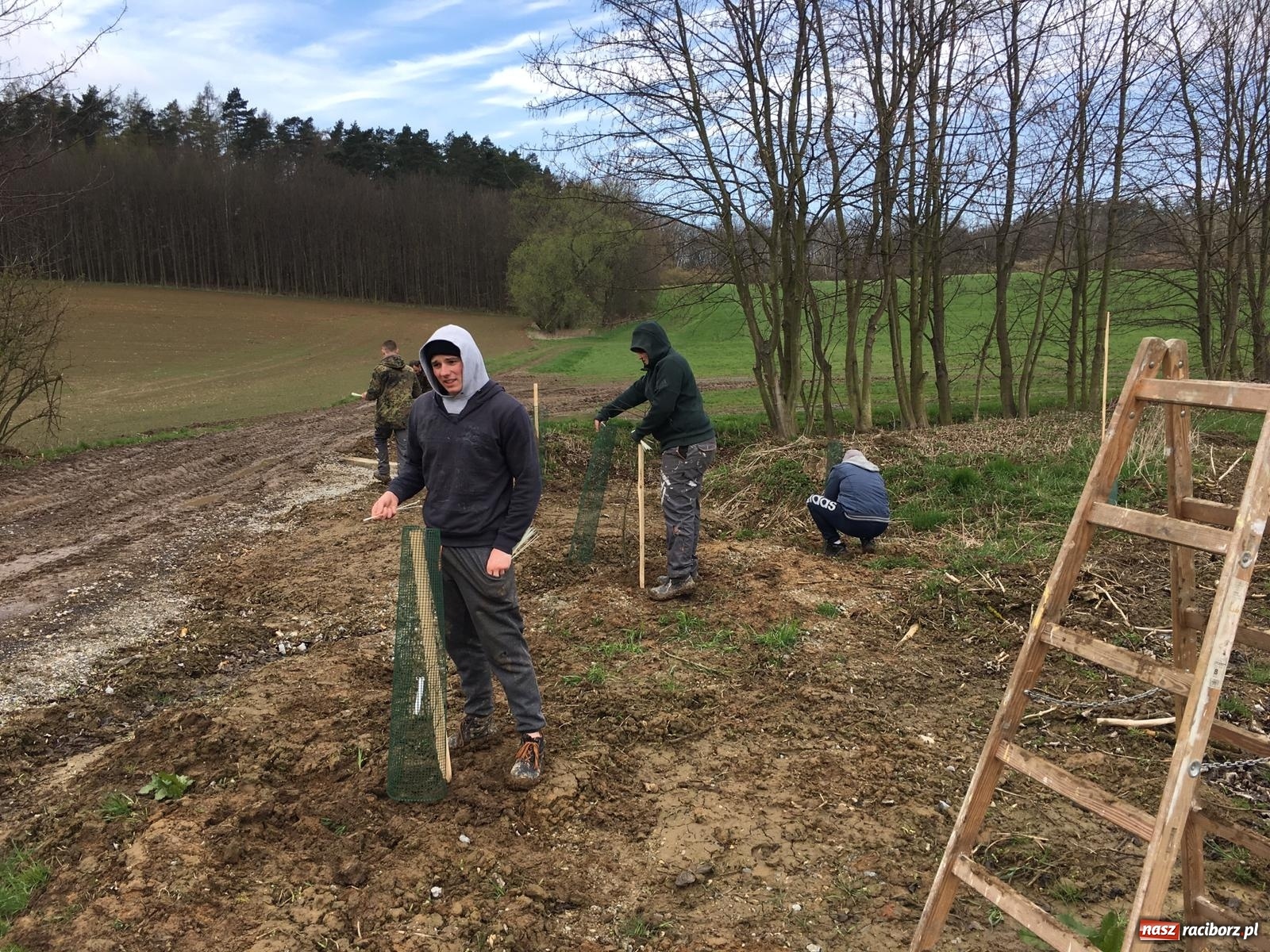 Zdjęcie w galerii na portalu naszraciborz.pl: Zielone płuca dla Krowiarek i gminy Pietrowice Wielkie wiadomości z regionu