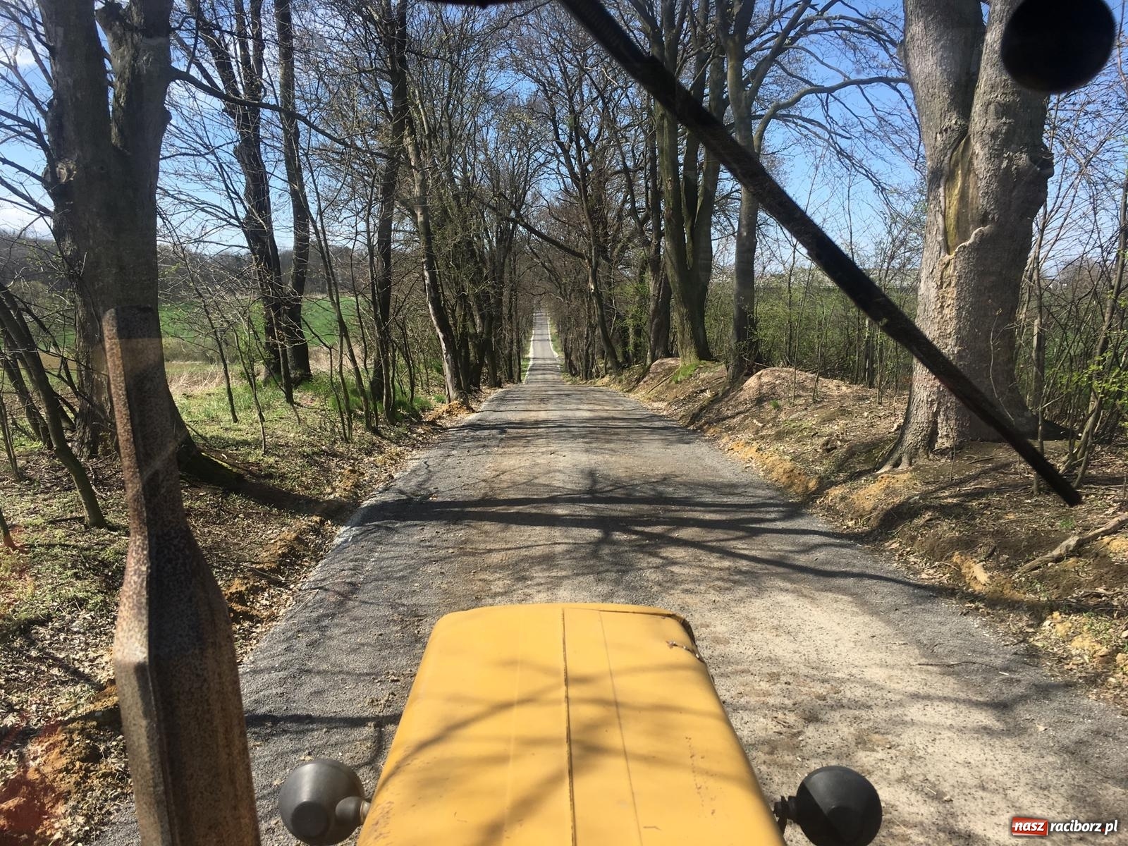 Zdjęcie w galerii na portalu naszraciborz.pl: Zielone płuca dla Krowiarek i gminy Pietrowice Wielkie wiadomości z regionu