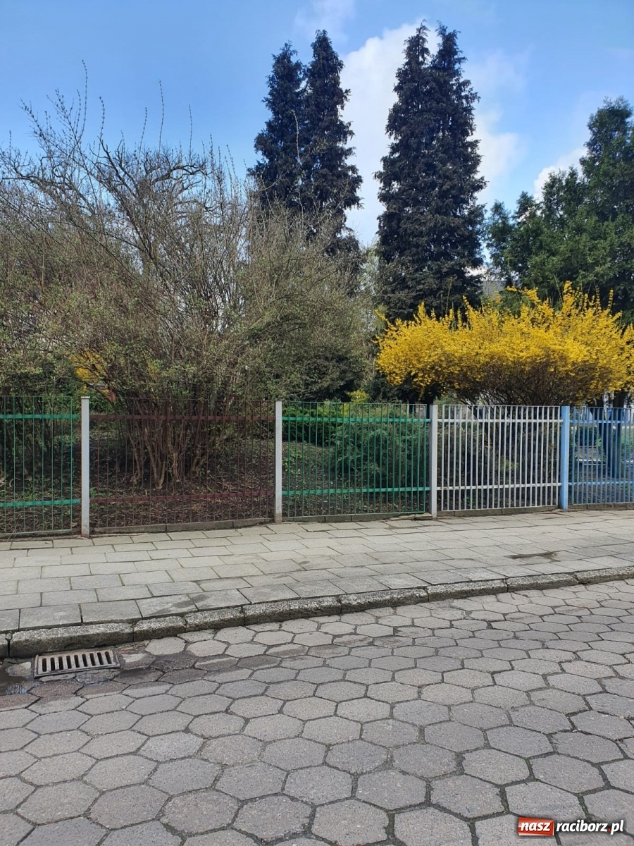 Zdjęcie w galerii na portalu naszraciborz.pl: Przedszkolaki z Kochanowskiego będą miały dwa place zabaw wiadomości z regionu