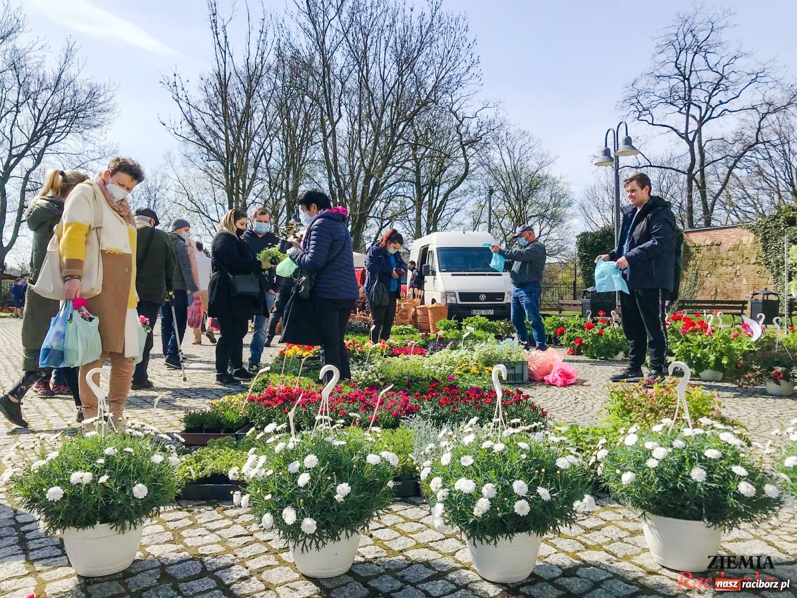 Zdjęcie w galerii na portalu naszraciborz.pl: Zamkowy jarmark kwiatów przyciągnął tłumy [WIDEO] wiadomości z regionu