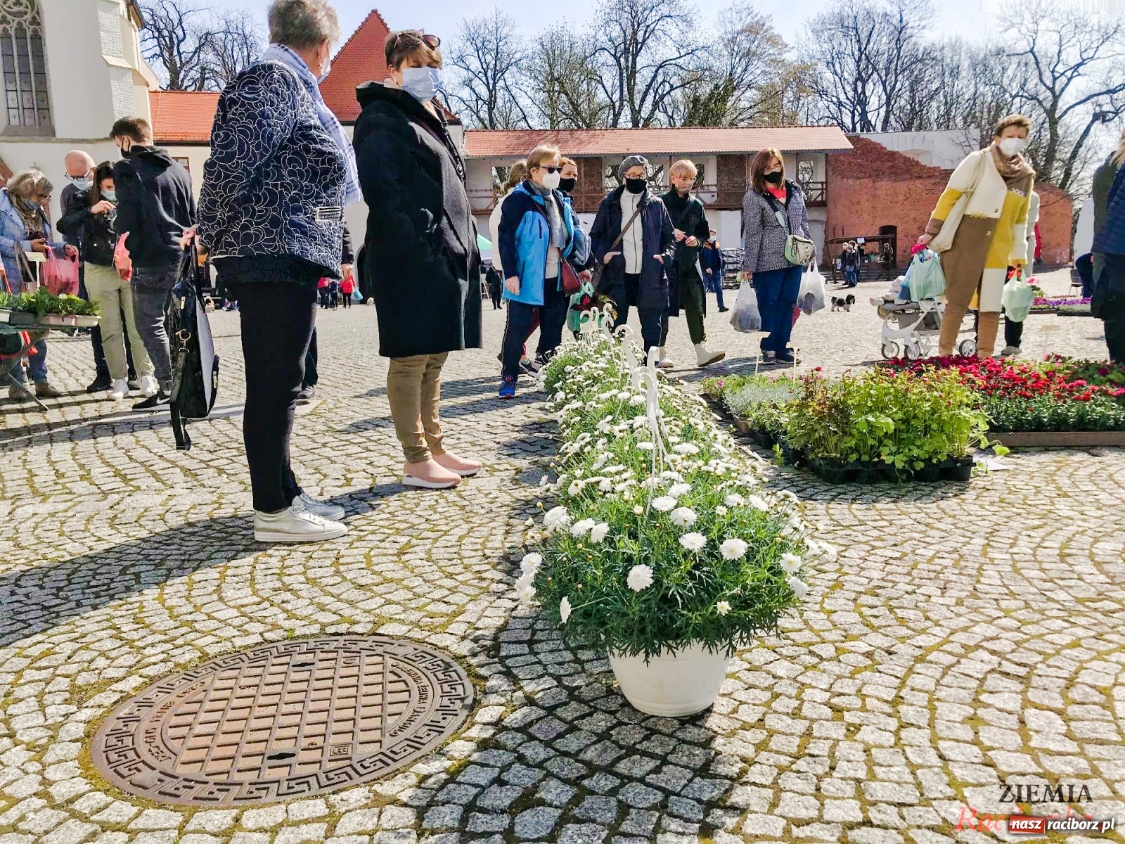 Zdjęcie w galerii na portalu naszraciborz.pl: Zamkowy jarmark kwiatów przyciągnął tłumy [WIDEO] wiadomości z regionu