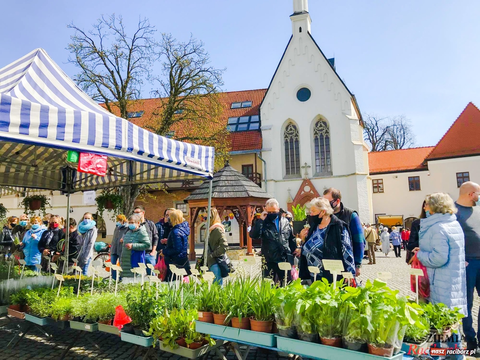 Zdjęcie w galerii na portalu naszraciborz.pl: Zamkowy jarmark kwiatów przyciągnął tłumy [WIDEO] wiadomości z regionu