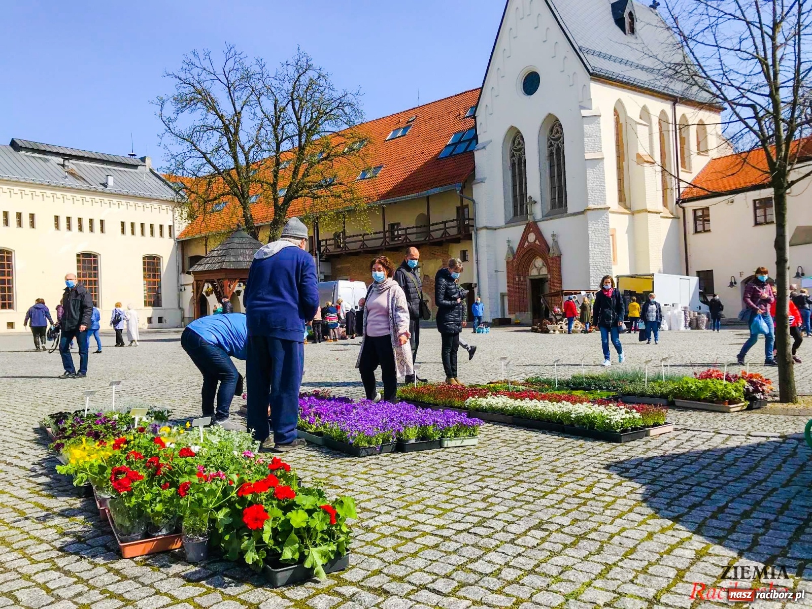 Zdjęcie w galerii na portalu naszraciborz.pl: Zamkowy jarmark kwiatów przyciągnął tłumy [WIDEO] wiadomości z regionu