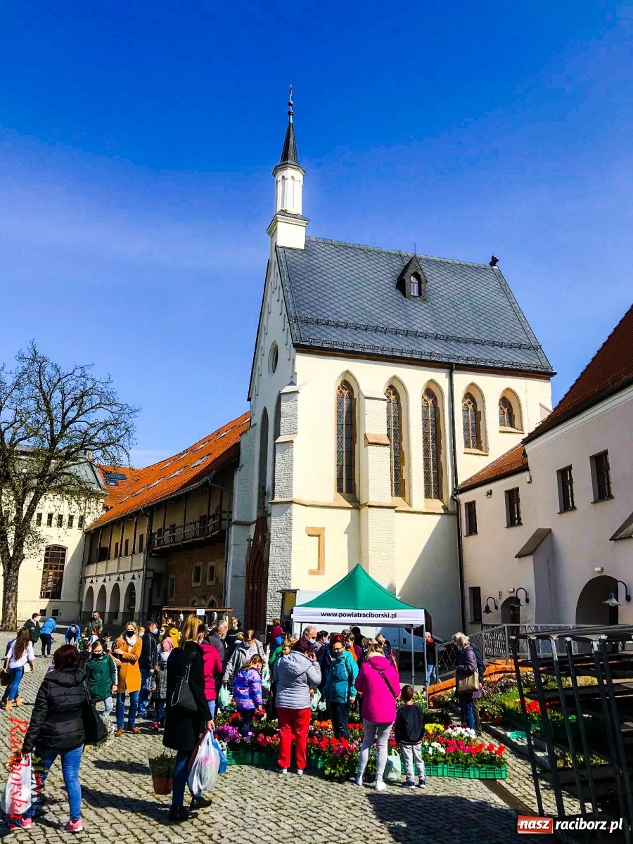 Zdjęcie w galerii na portalu naszraciborz.pl: Zamkowy jarmark kwiatów przyciągnął tłumy [WIDEO] wiadomości z regionu