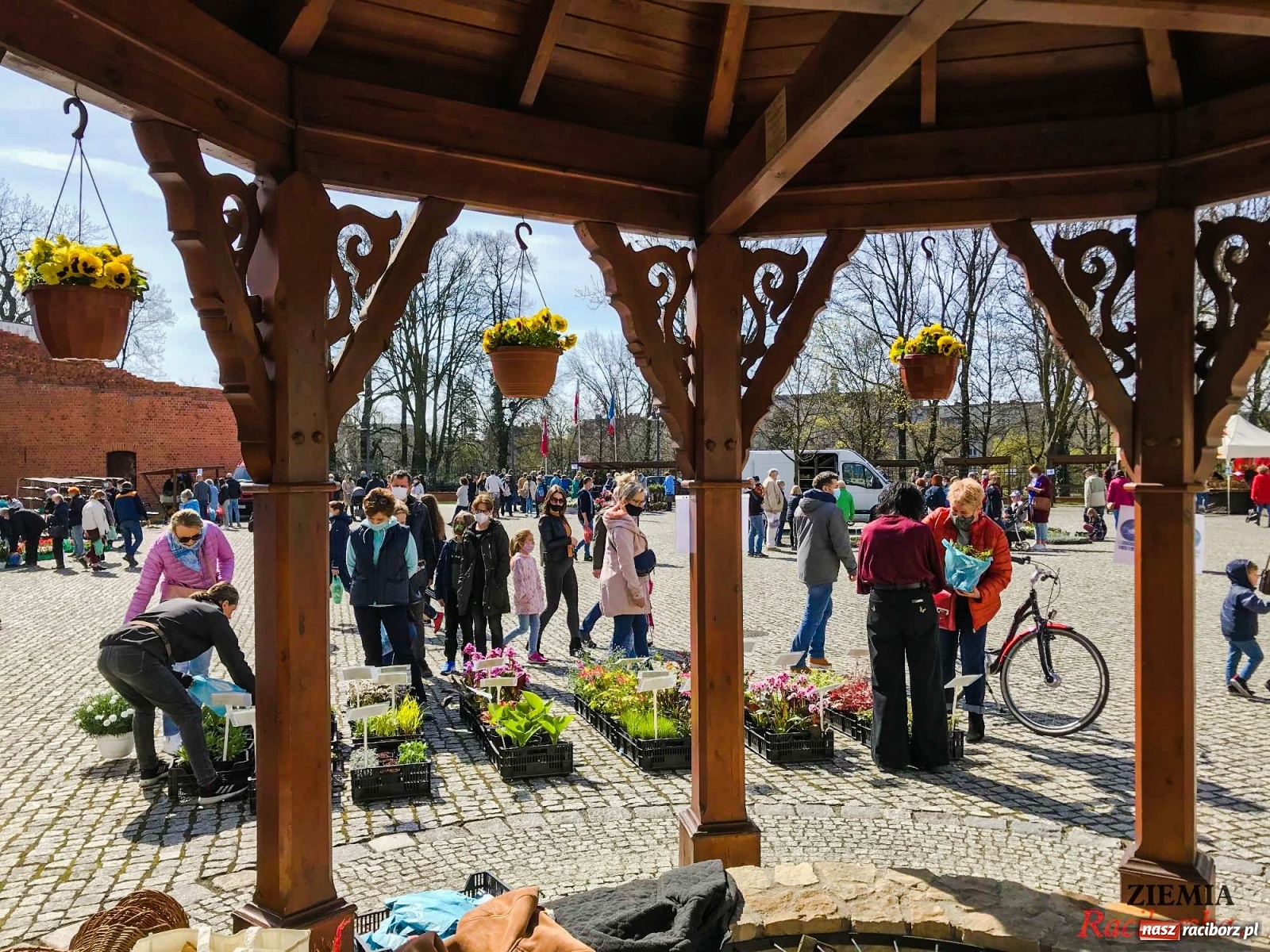 Zdjęcie w galerii na portalu naszraciborz.pl: Zamkowy jarmark kwiatów przyciągnął tłumy [WIDEO] wiadomości z regionu