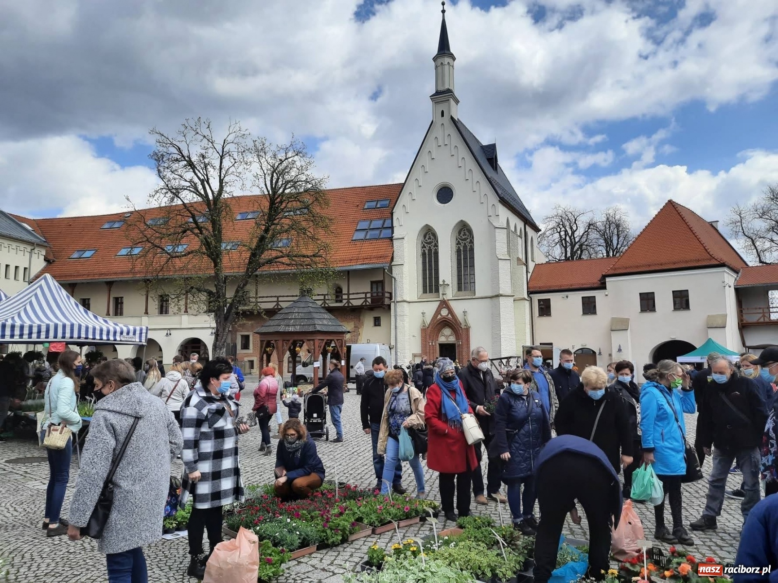 Zdjęcie w galerii na portalu naszraciborz.pl: Zamkowy jarmark kwiatów przyciągnął tłumy [WIDEO] wiadomości z regionu