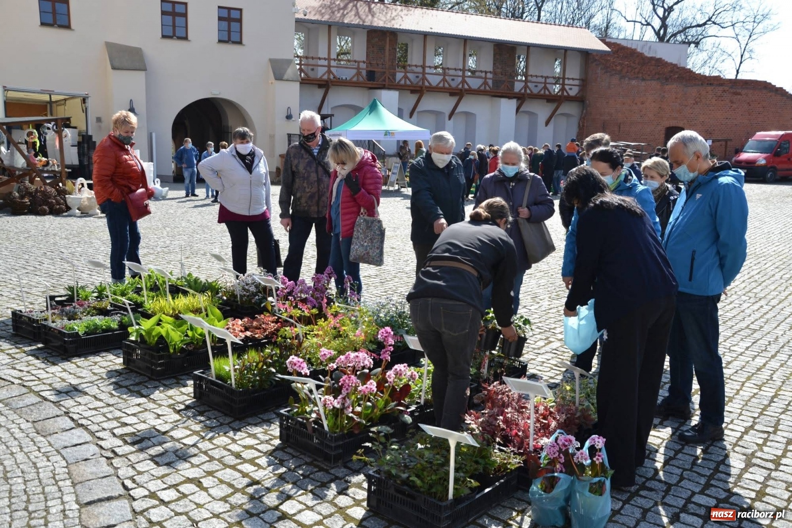 Zdjęcie w galerii na portalu naszraciborz.pl: Zamkowy jarmark kwiatów przyciągnął tłumy [WIDEO] wiadomości z regionu