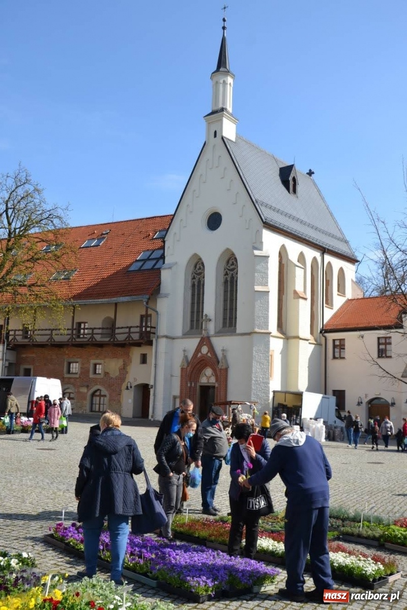 Zdjęcie w galerii na portalu naszraciborz.pl: Zamkowy jarmark kwiatów przyciągnął tłumy [WIDEO] wiadomości z regionu