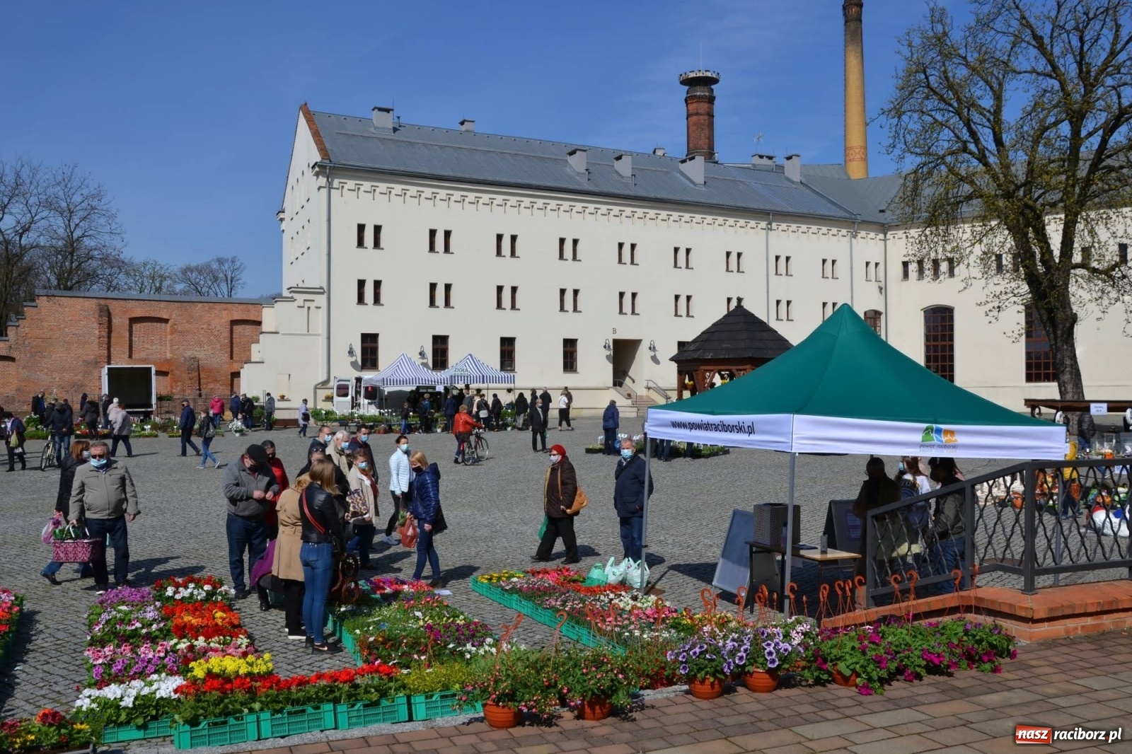 Zdjęcie w galerii na portalu naszraciborz.pl: Zamkowy jarmark kwiatów przyciągnął tłumy [WIDEO] wiadomości z regionu