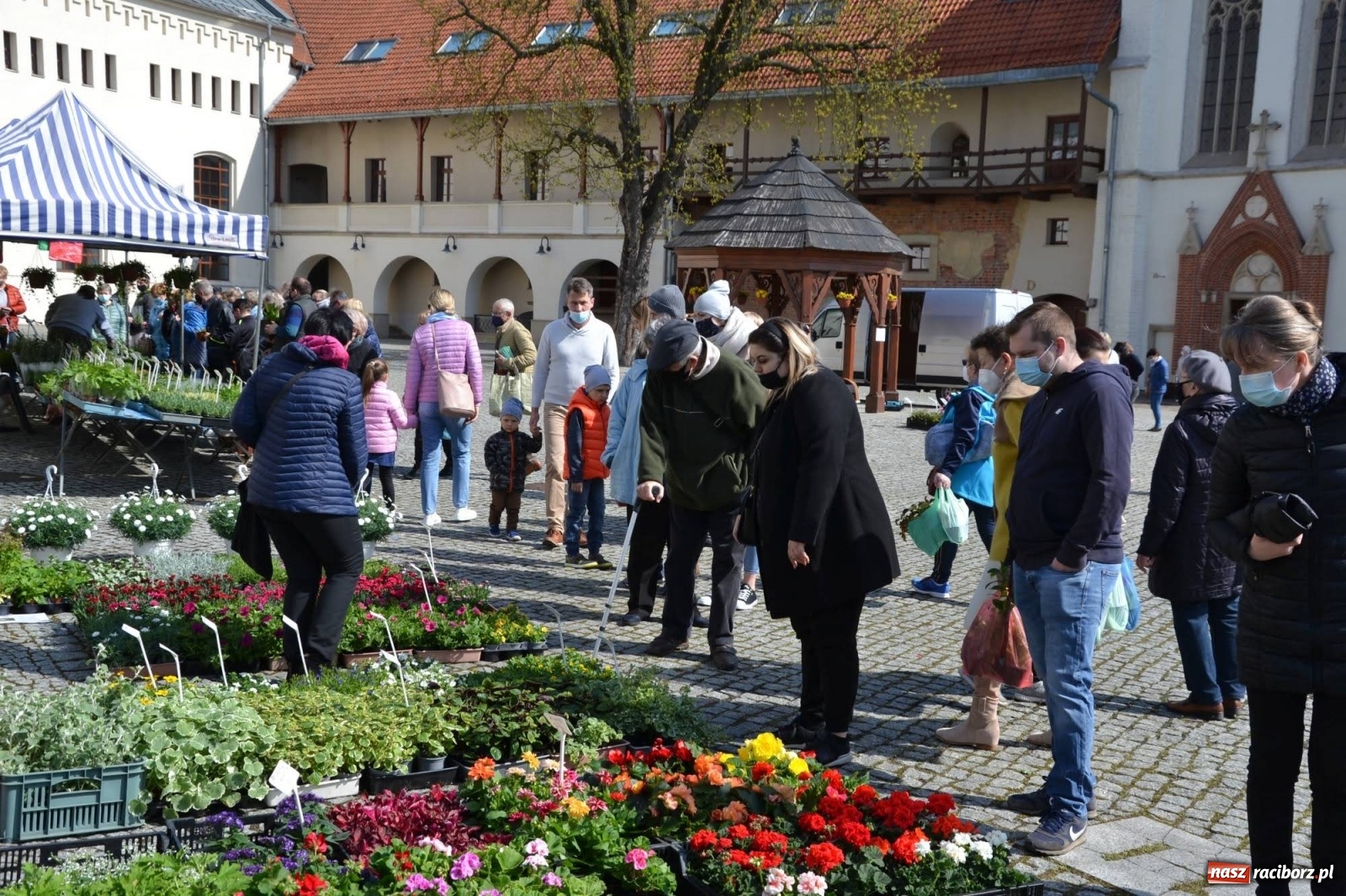 Zdjęcie w galerii na portalu naszraciborz.pl: Zamkowy jarmark kwiatów przyciągnął tłumy [WIDEO] wiadomości z regionu