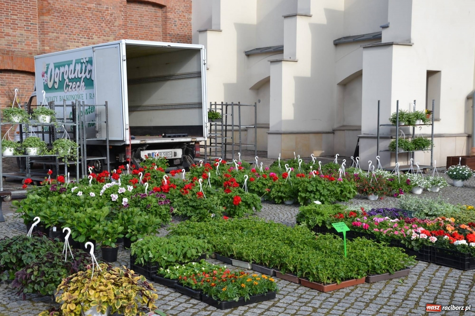Zdjęcie w galerii na portalu naszraciborz.pl: Zamkowy jarmark kwiatów przyciągnął tłumy [WIDEO] wiadomości z regionu