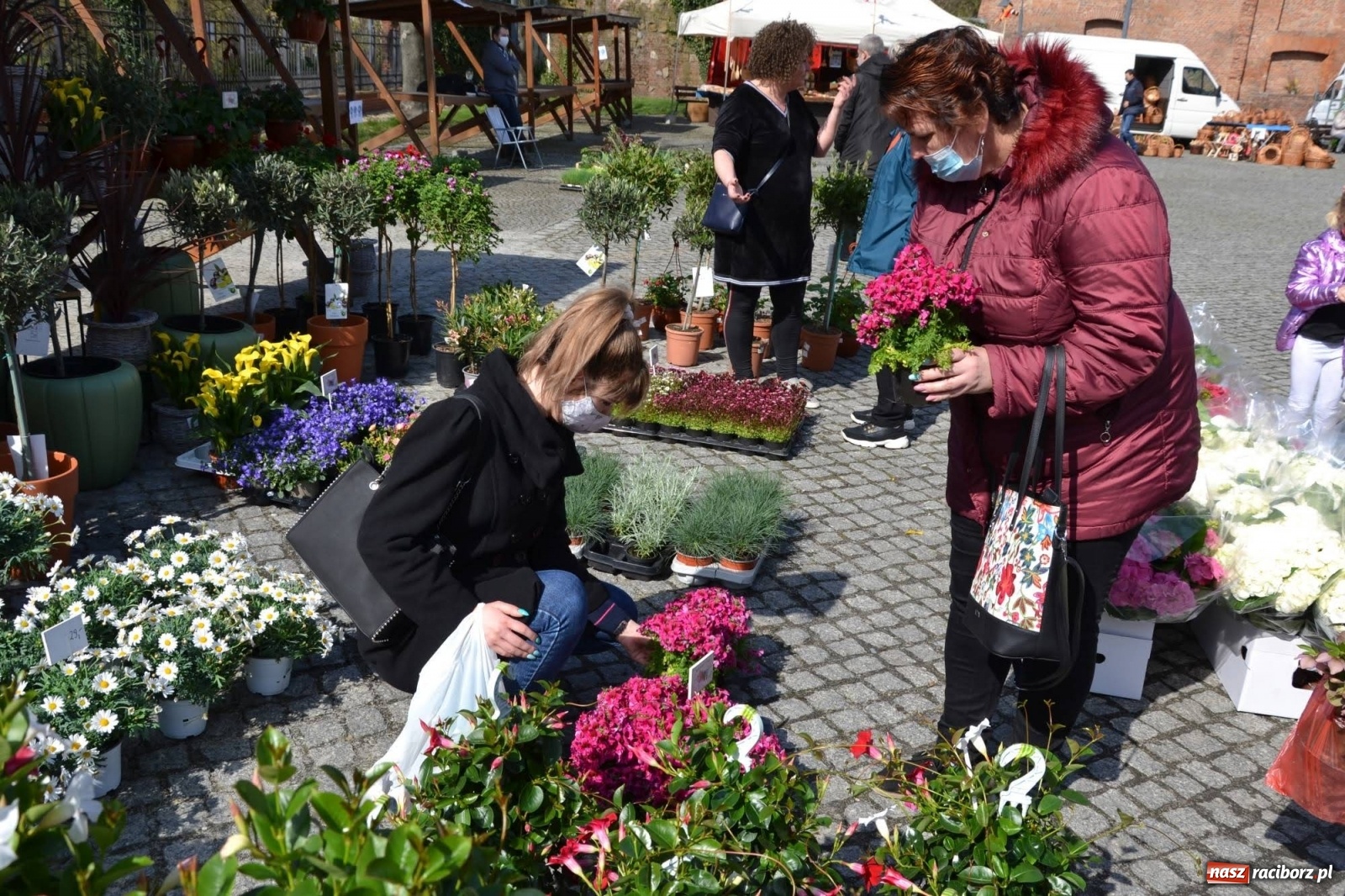 Zdjęcie w galerii na portalu naszraciborz.pl: Zamkowy jarmark kwiatów przyciągnął tłumy [WIDEO] wiadomości z regionu