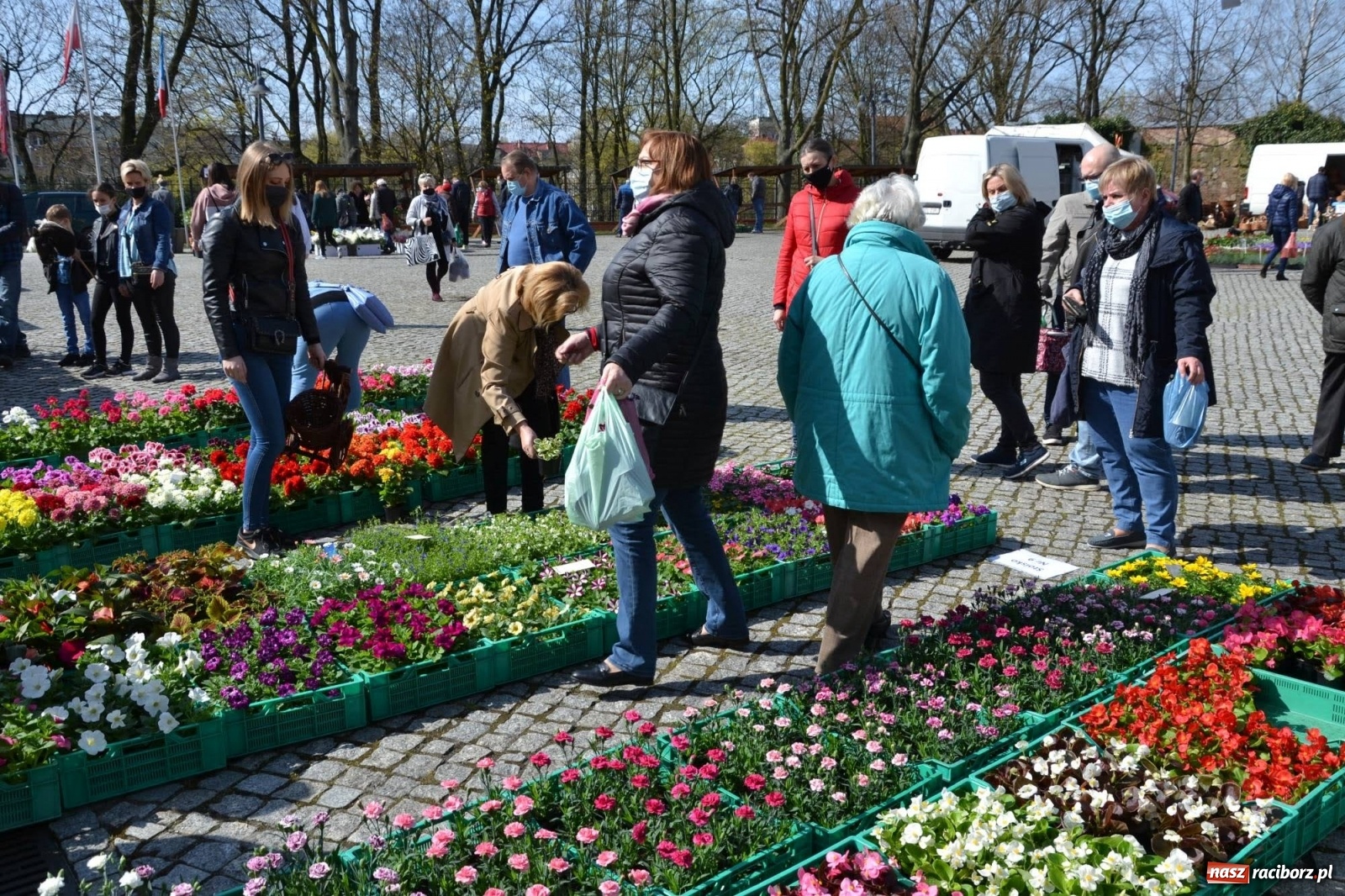 Zdjęcie w galerii na portalu naszraciborz.pl: Zamkowy jarmark kwiatów przyciągnął tłumy [WIDEO] wiadomości z regionu
