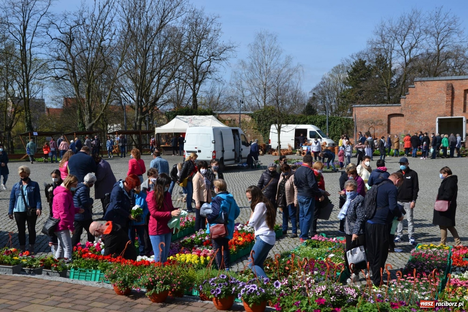 Zdjęcie w galerii na portalu naszraciborz.pl: Zamkowy jarmark kwiatów przyciągnął tłumy [WIDEO] wiadomości z regionu