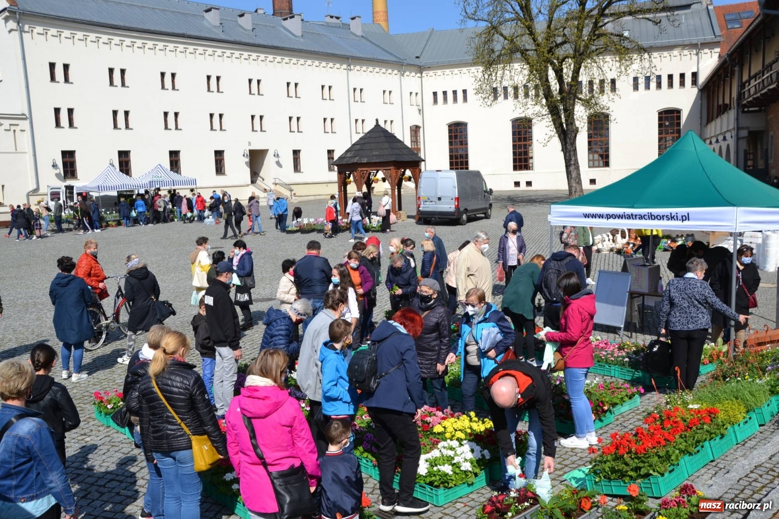 Zdjęcie w galerii na portalu naszraciborz.pl: Zamkowy jarmark kwiatów przyciągnął tłumy [WIDEO] wiadomości z regionu