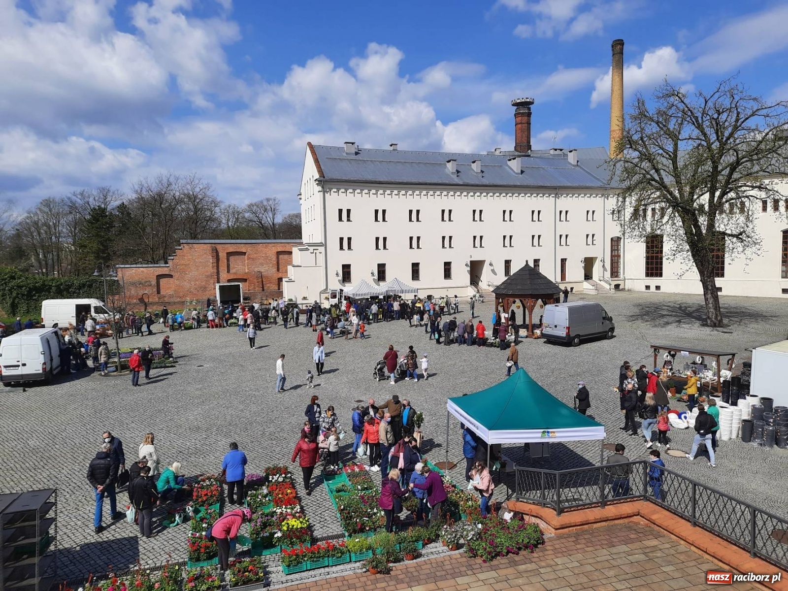 Zdjęcie w galerii na portalu naszraciborz.pl: Zamkowy jarmark kwiatów przyciągnął tłumy [WIDEO] wiadomości z regionu