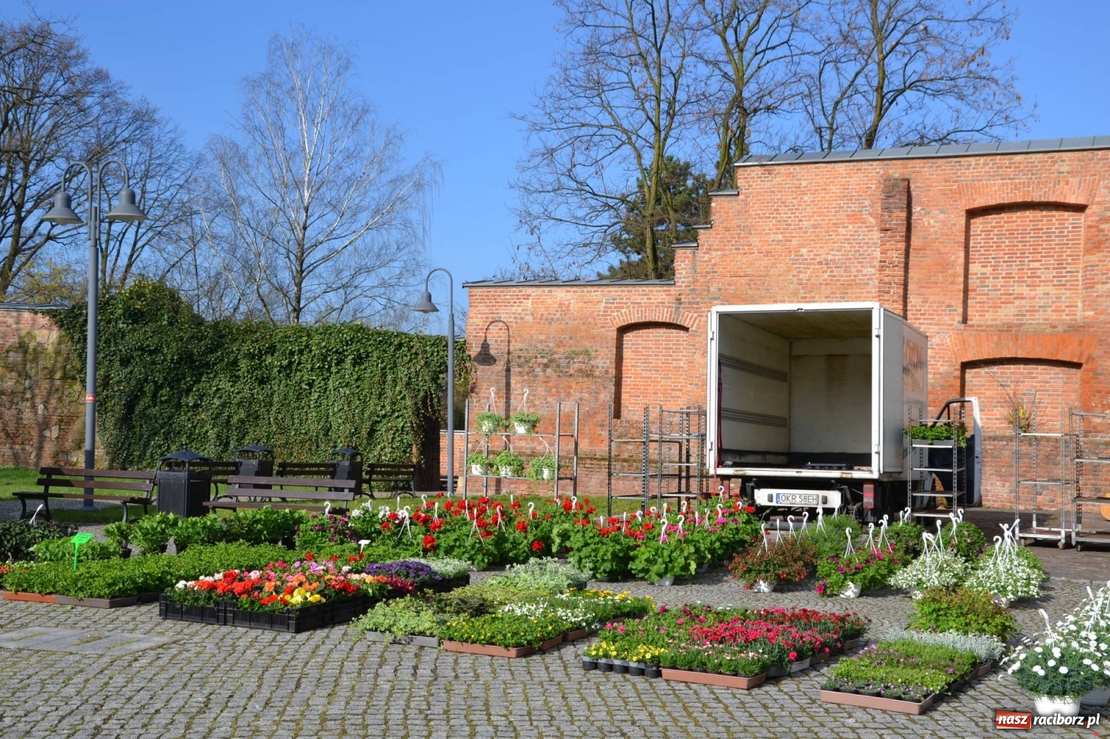 Zdjęcie w galerii na portalu naszraciborz.pl: Zamkowy jarmark kwiatów przyciągnął tłumy [WIDEO] wiadomości z regionu