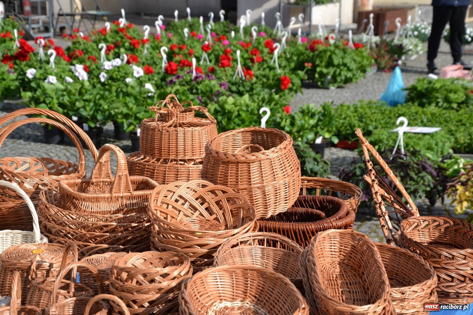 Zdjęcie w galerii na portalu naszraciborz.pl: Zamkowy jarmark kwiatów przyciągnął tłumy [WIDEO] wiadomości z regionu