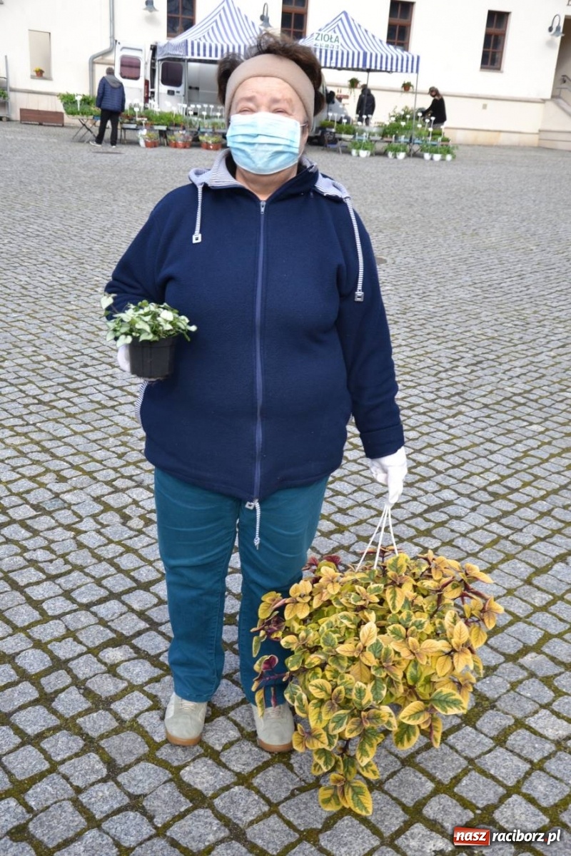 Zdjęcie w galerii na portalu naszraciborz.pl: Zamkowy jarmark kwiatów przyciągnął tłumy [WIDEO] wiadomości z regionu