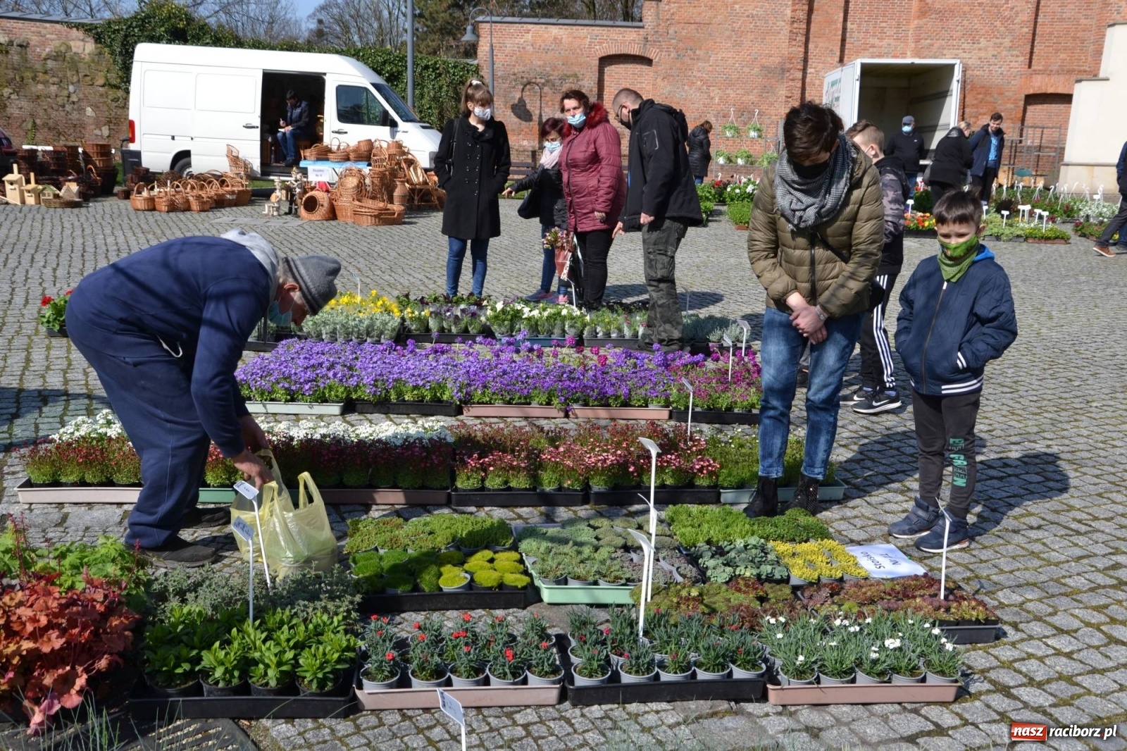 Zdjęcie w galerii na portalu naszraciborz.pl: Zamkowy jarmark kwiatów przyciągnął tłumy [WIDEO] wiadomości z regionu