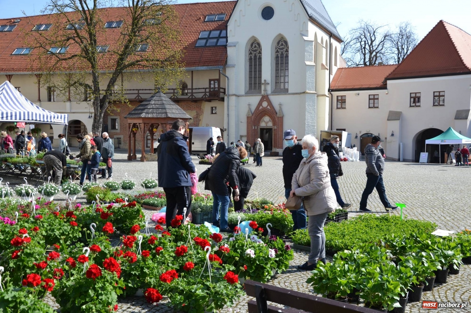 Zdjęcie w galerii na portalu naszraciborz.pl: Zamkowy jarmark kwiatów przyciągnął tłumy [WIDEO] wiadomości z regionu