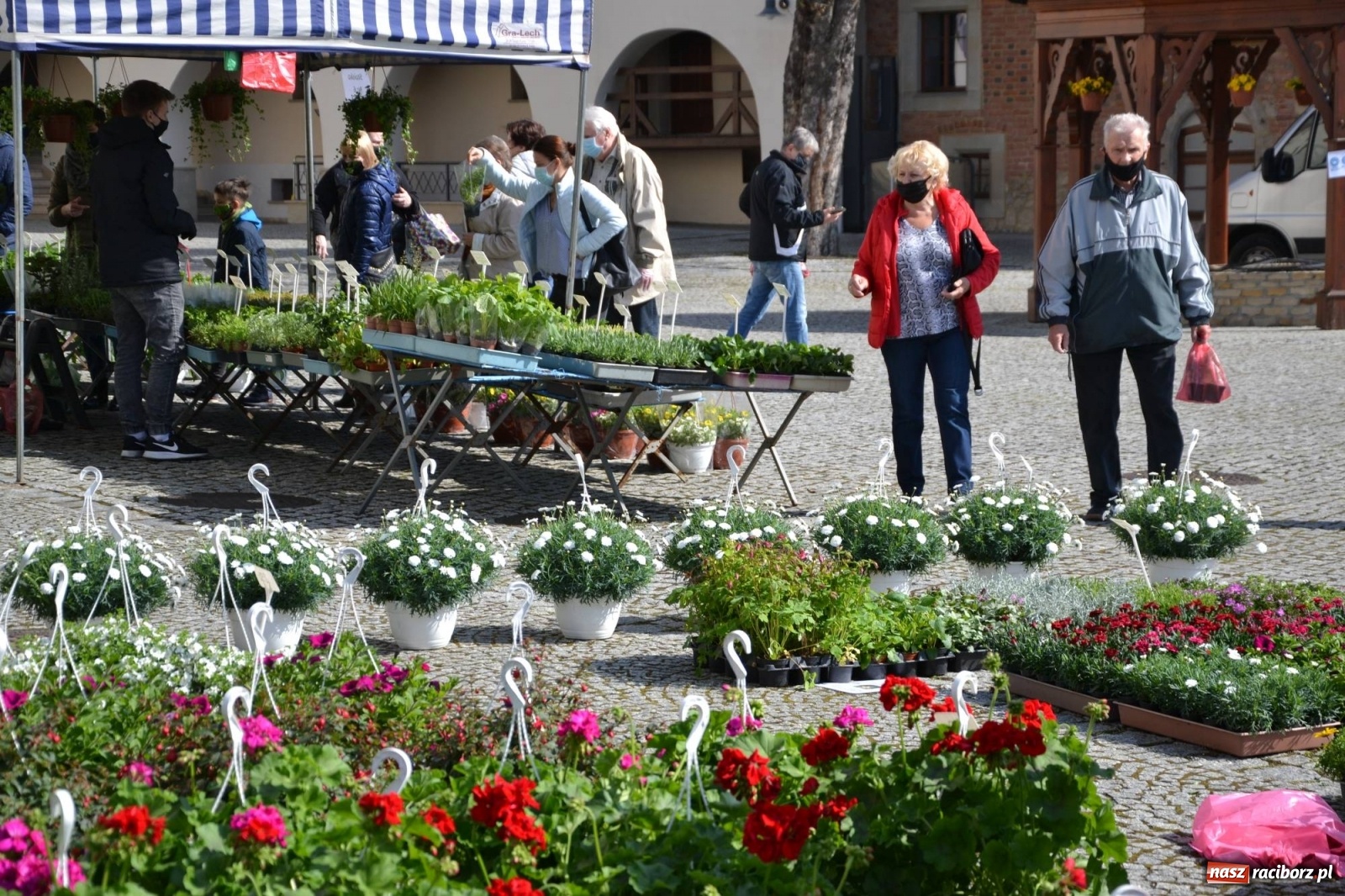 Zdjęcie w galerii na portalu naszraciborz.pl: Zamkowy jarmark kwiatów przyciągnął tłumy [WIDEO] wiadomości z regionu
