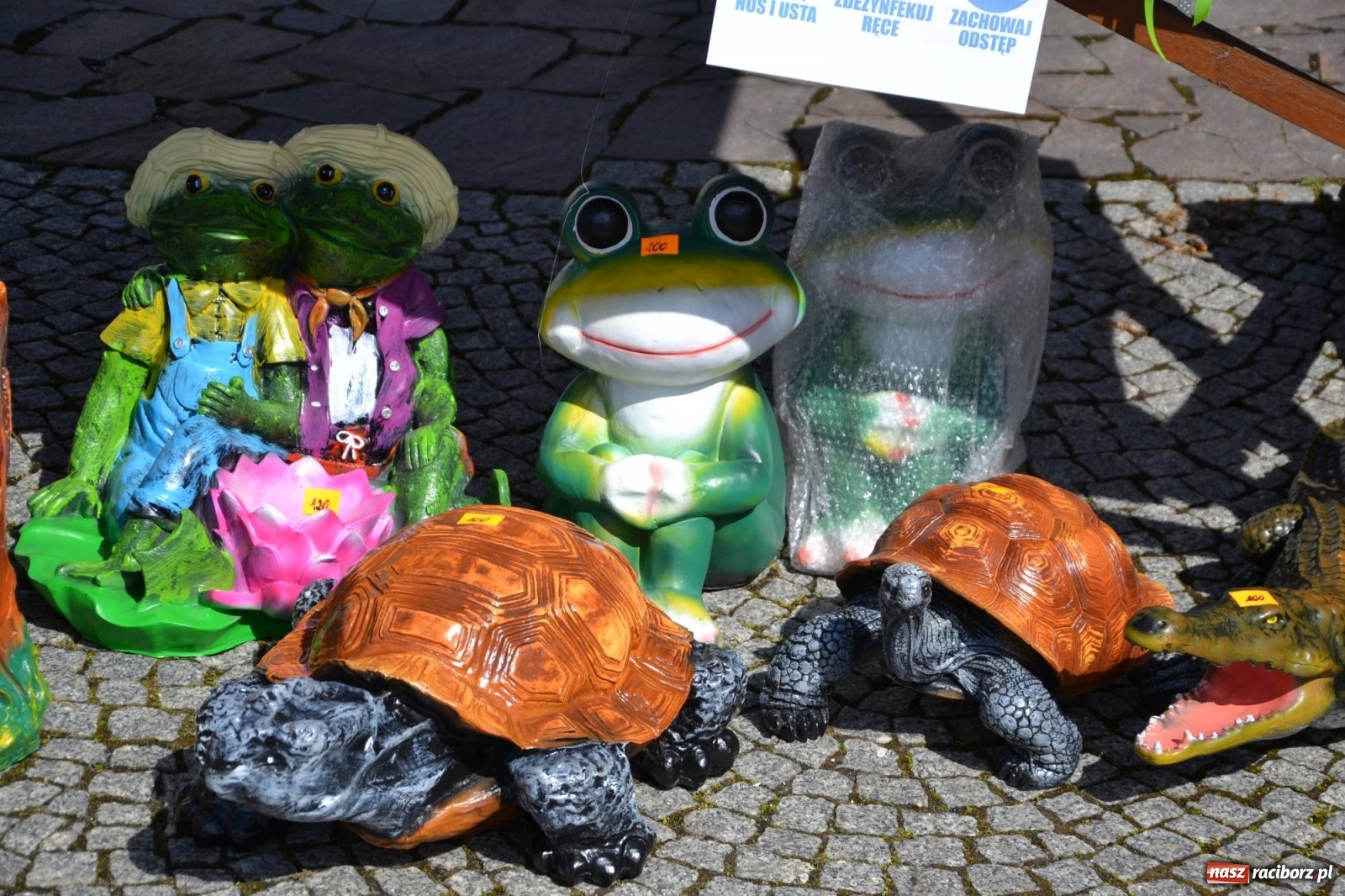 Zdjęcie w galerii na portalu naszraciborz.pl: Zamkowy jarmark kwiatów przyciągnął tłumy [WIDEO] wiadomości z regionu