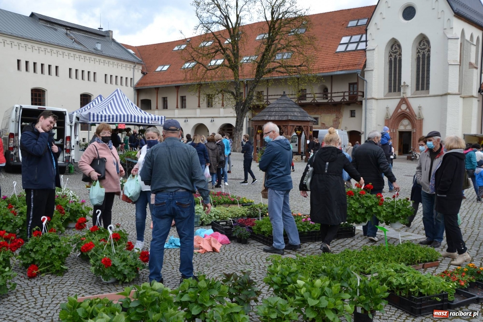 Zdjęcie w galerii na portalu naszraciborz.pl: Zamkowy jarmark kwiatów przyciągnął tłumy [WIDEO] wiadomości z regionu